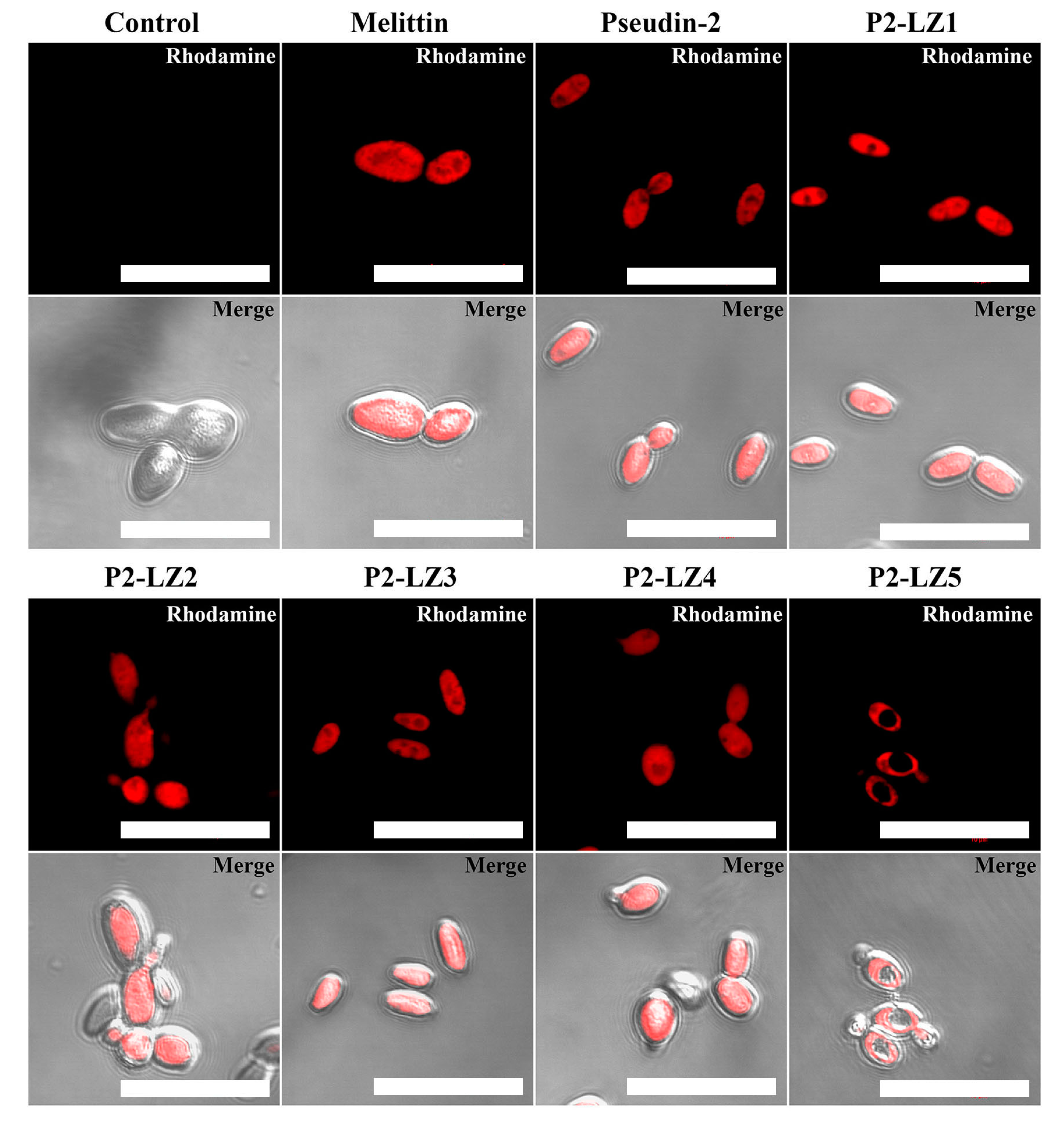 Antibiotics 09 00921 g005 Antibiotics 09 00921 g005
