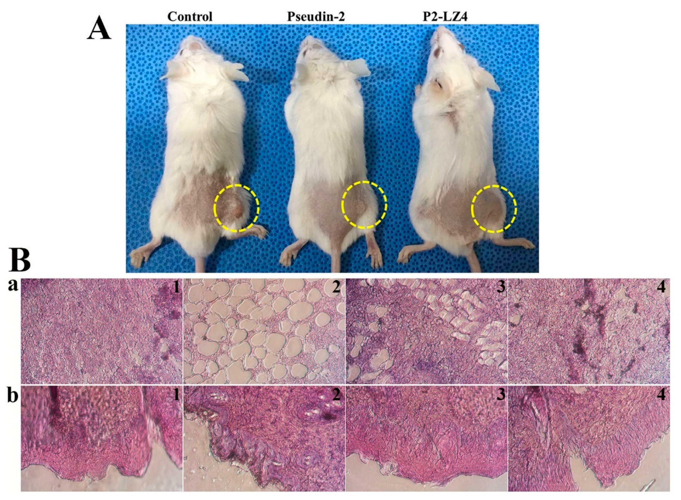 Antibiotics 09 00921 g010 Antibiotics 09 00921 g010