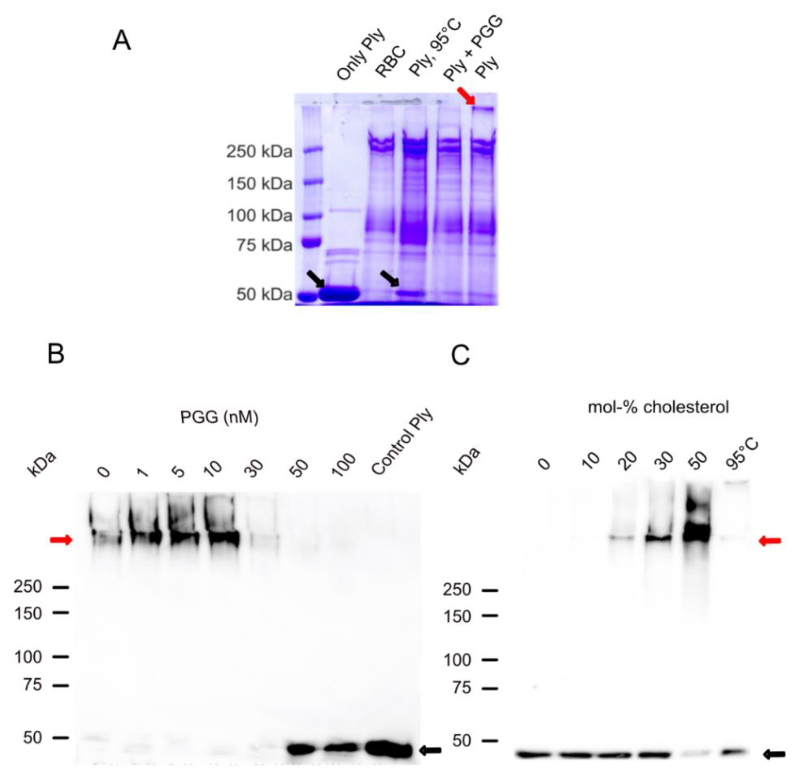 Antibiotics 09 00930 g005 Antibiotics 09 00930 g005