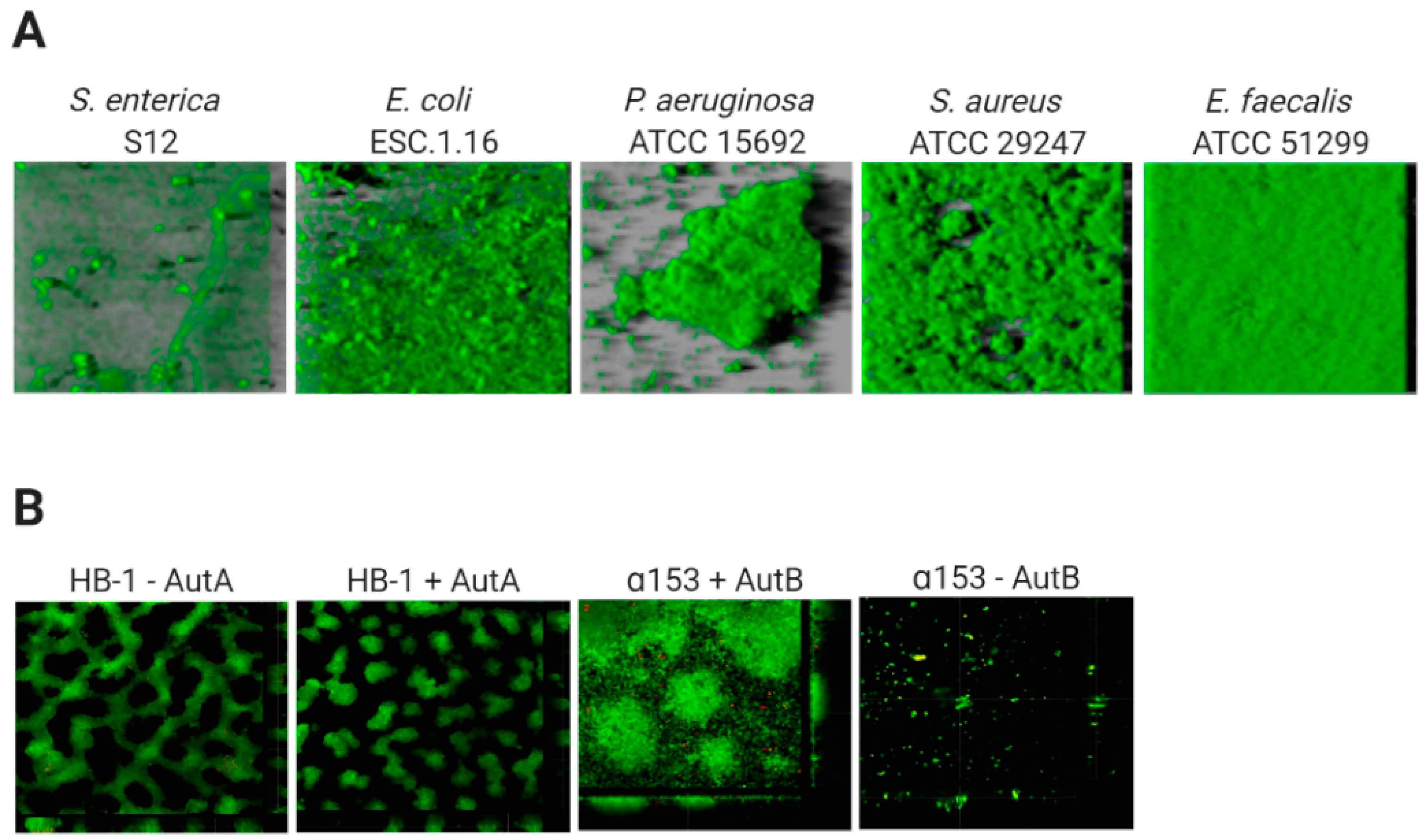 Antibiotics 10 00003 g001