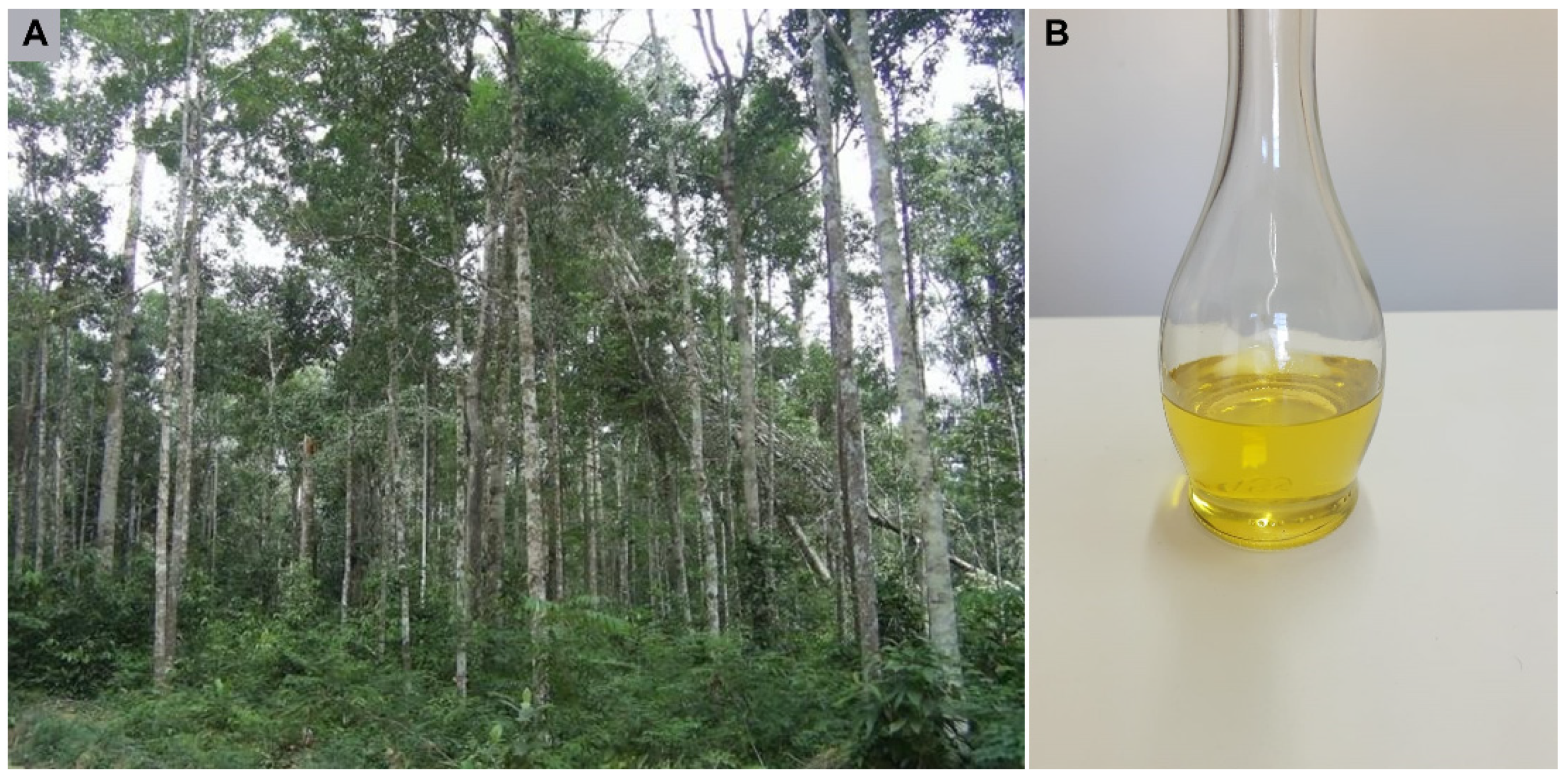 Antibiotics 10 00024 g001