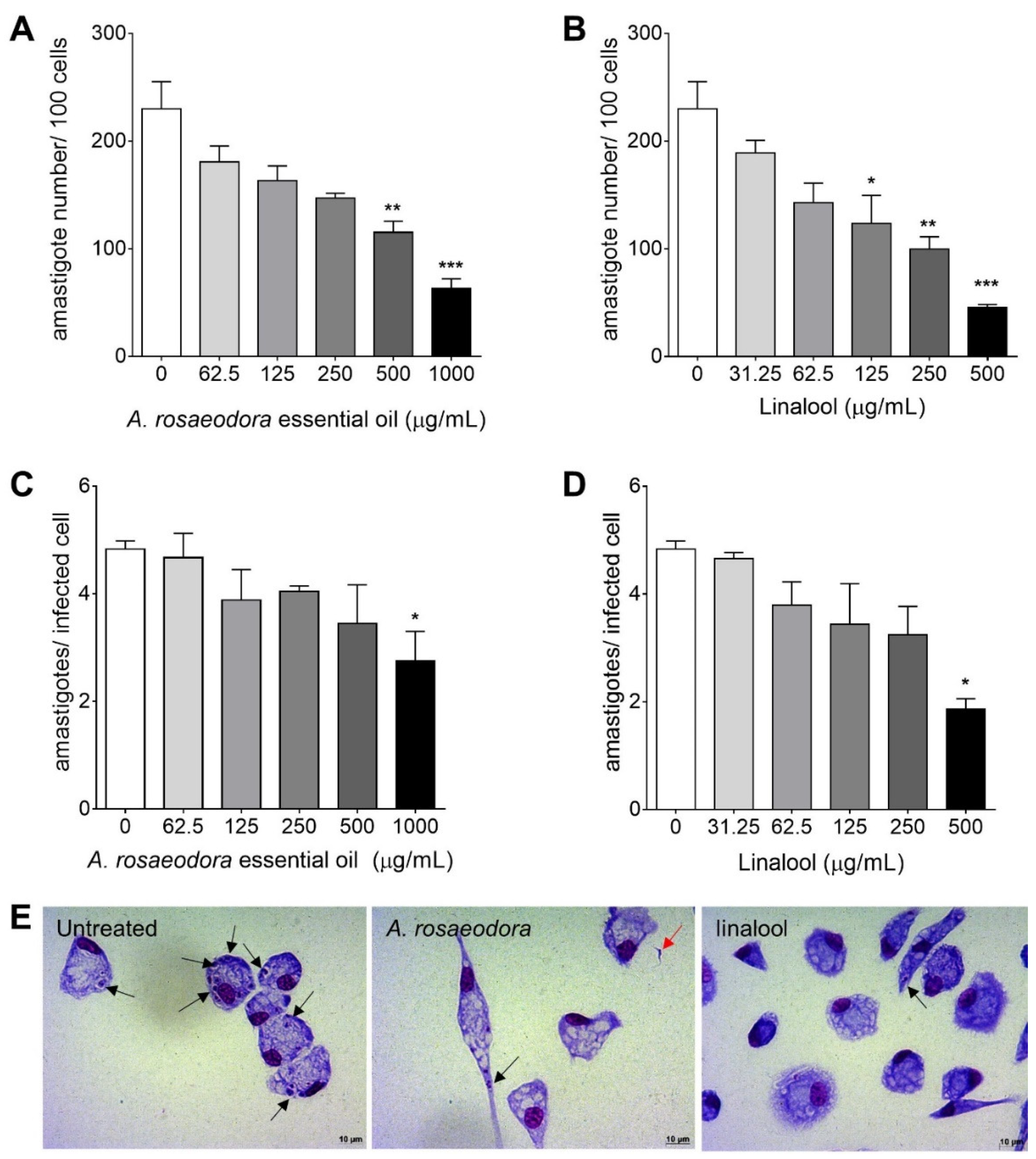 Antibiotics 10 00024 g005