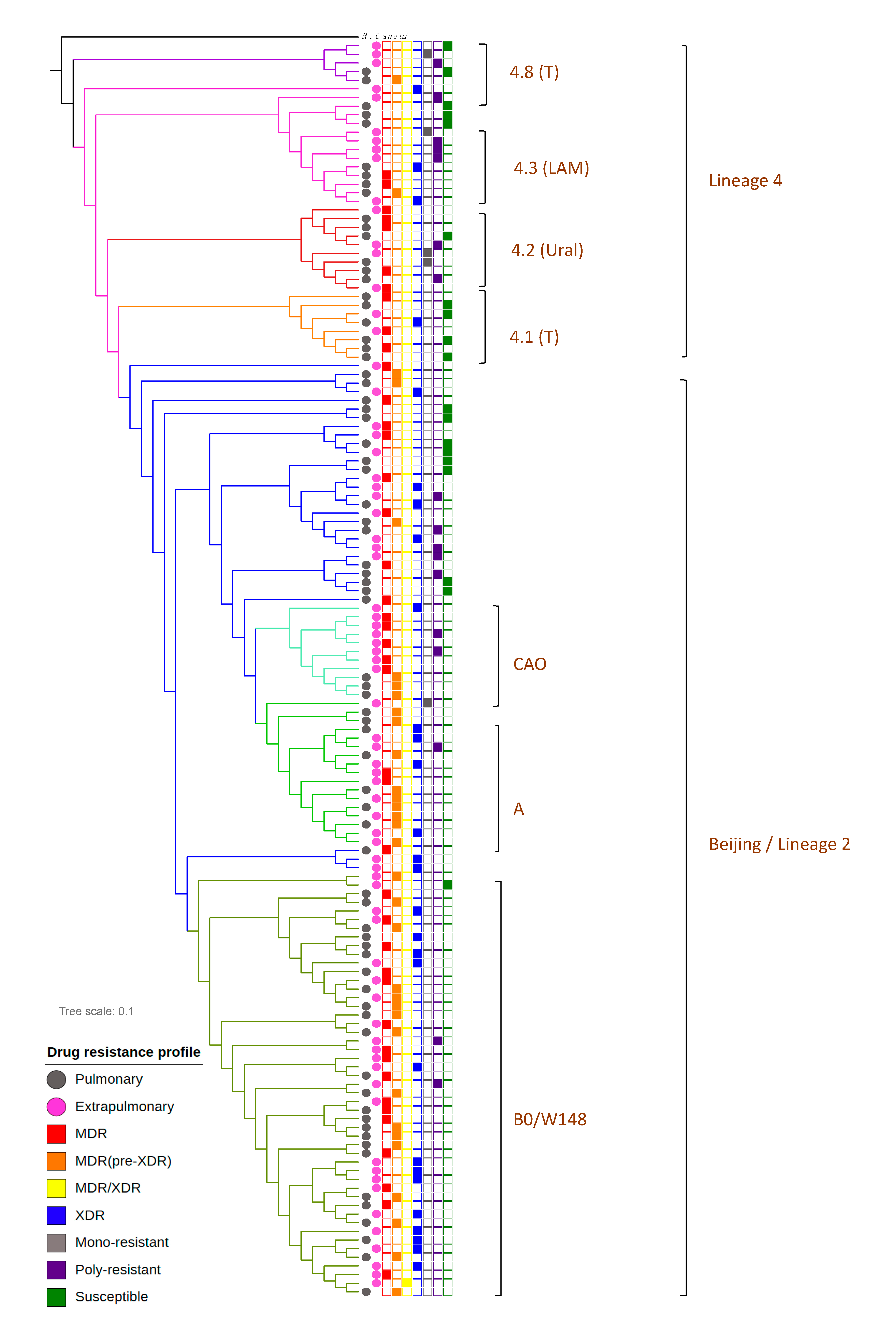 Antibiotics 10 00027 g001 Antibiotics 10 00027 g001