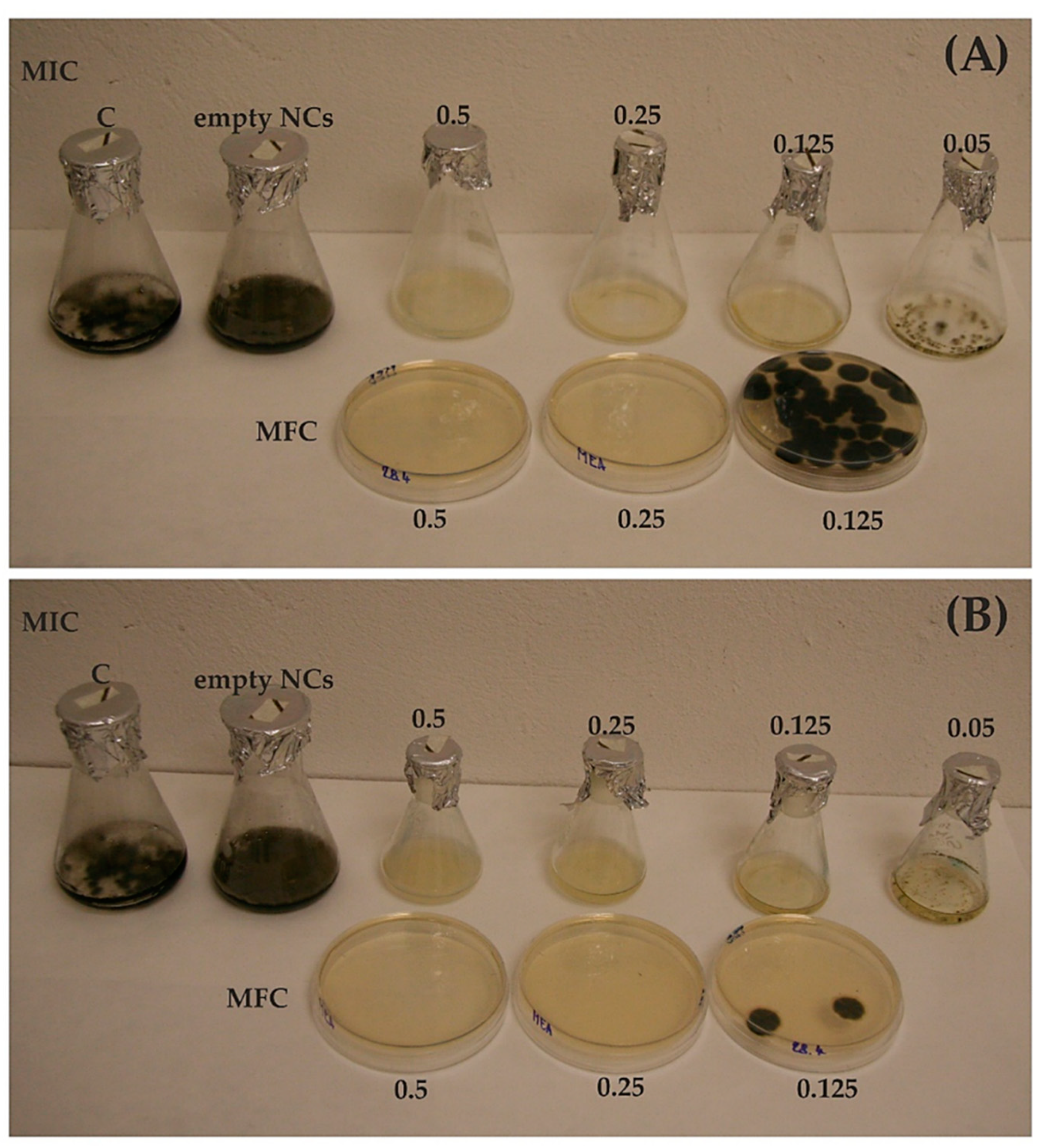 Antibiotics 10 00031 g002 Antibiotics 10 00031 g002