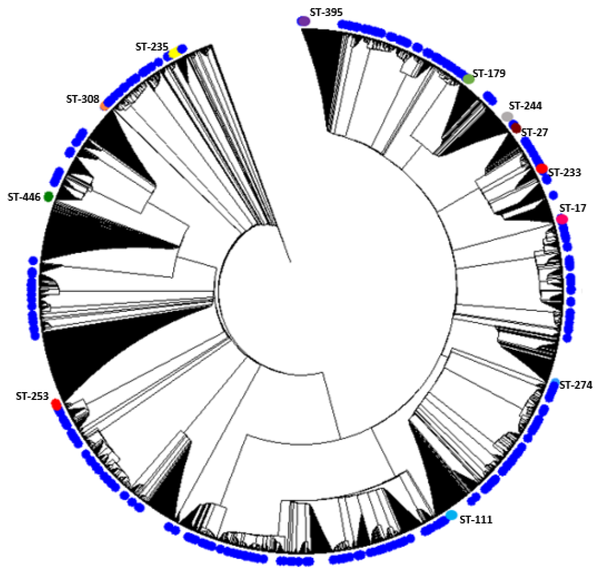 Antibiotics 10 00035 g001 Antibiotics 10 00035 g001