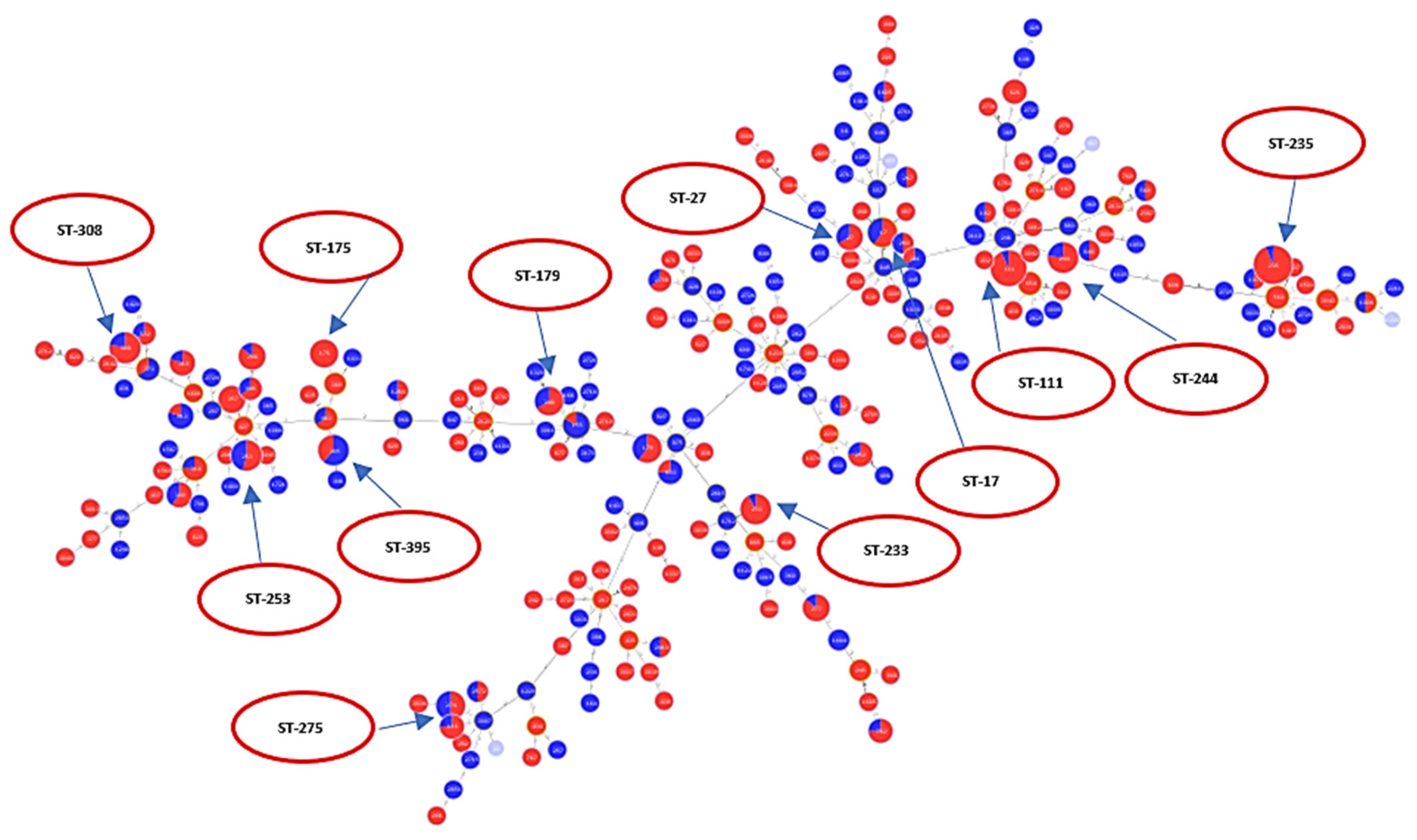 Antibiotics 10 00035 g003 Antibiotics 10 00035 g003