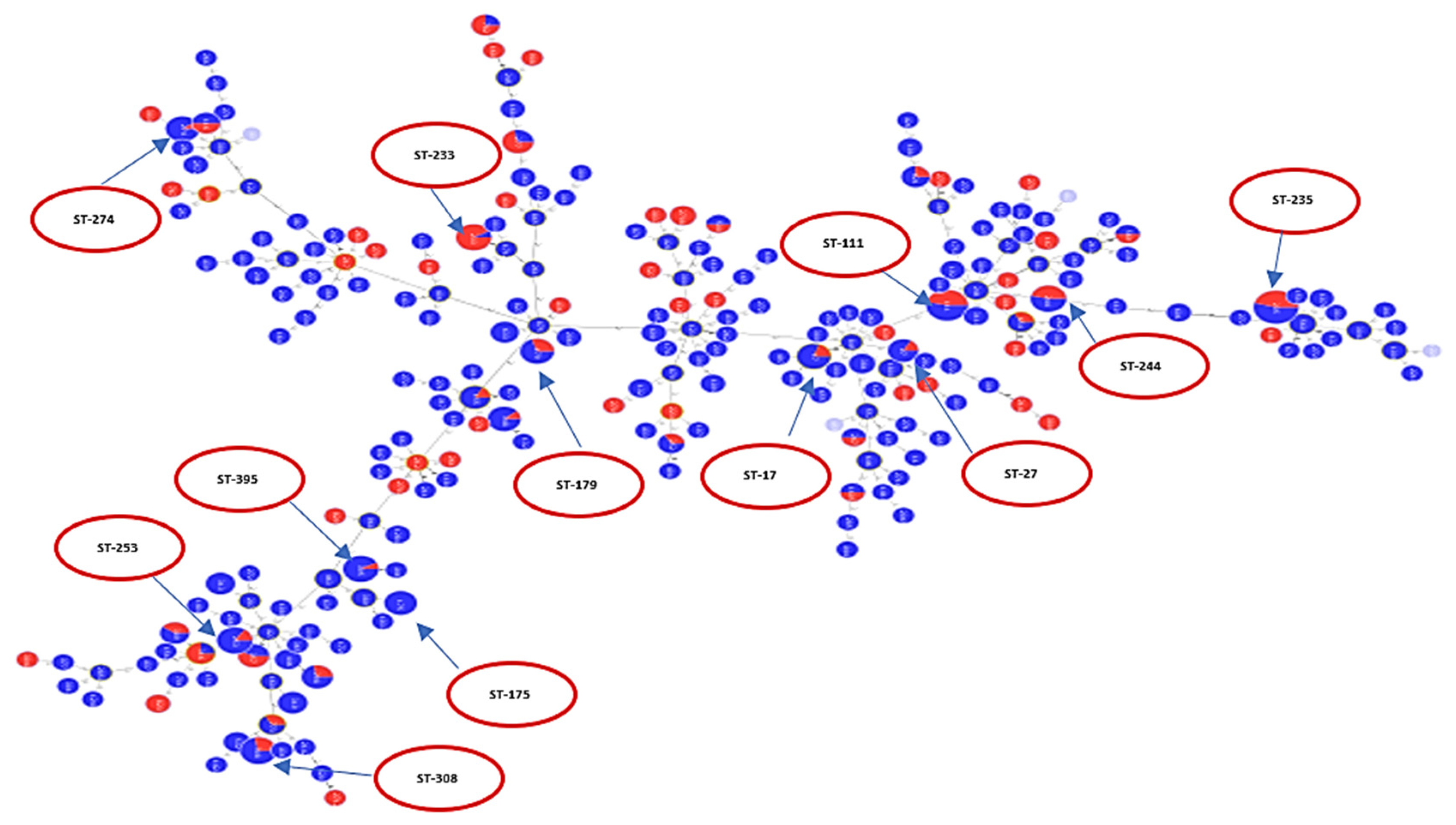 Antibiotics 10 00035 g006 Antibiotics 10 00035 g006