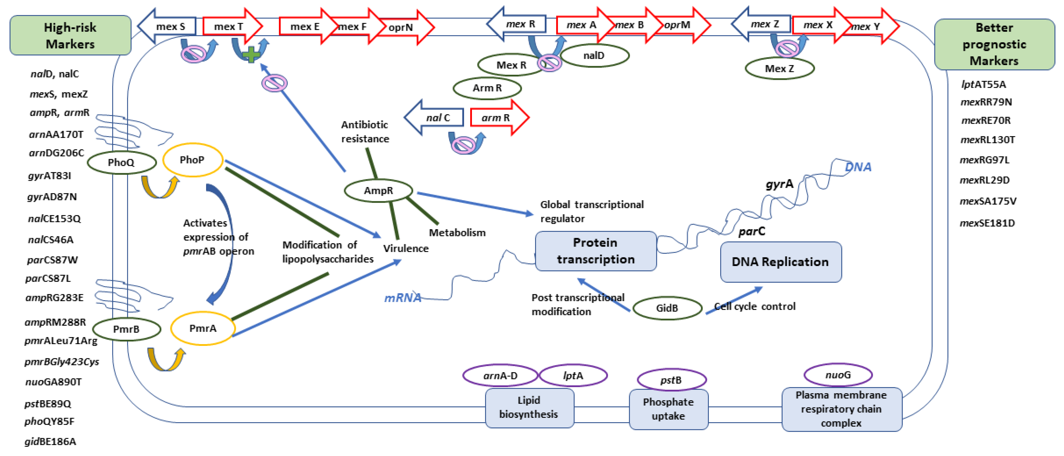 Antibiotics 10 00035 g009 Antibiotics 10 00035 g009