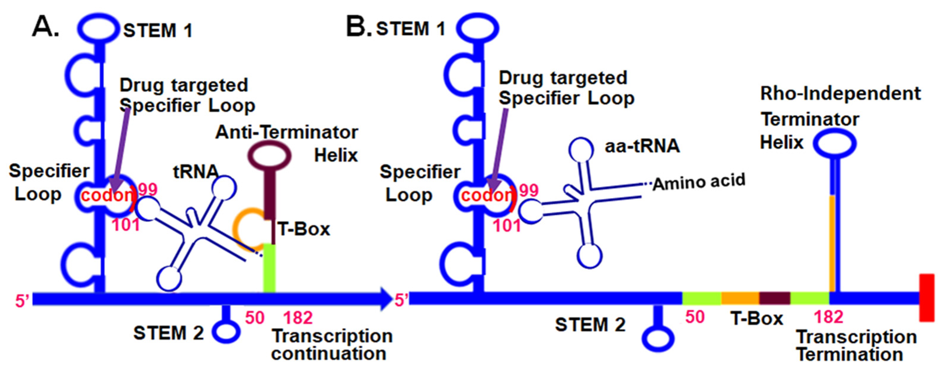 Antibiotics 10 00041 g001 Antibiotics 10 00041 g001
