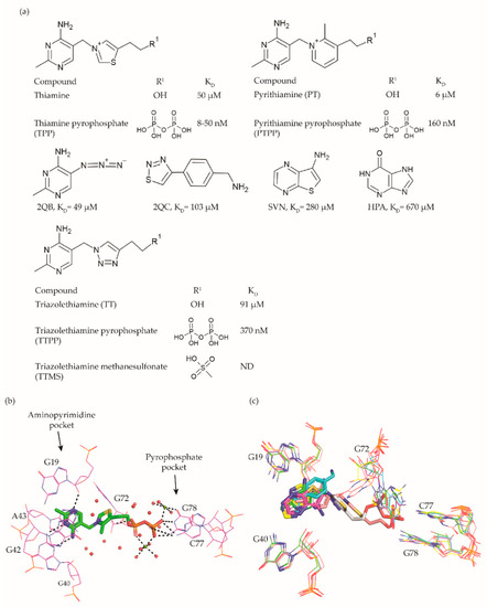 Antibiotics 10 00045 g002 550