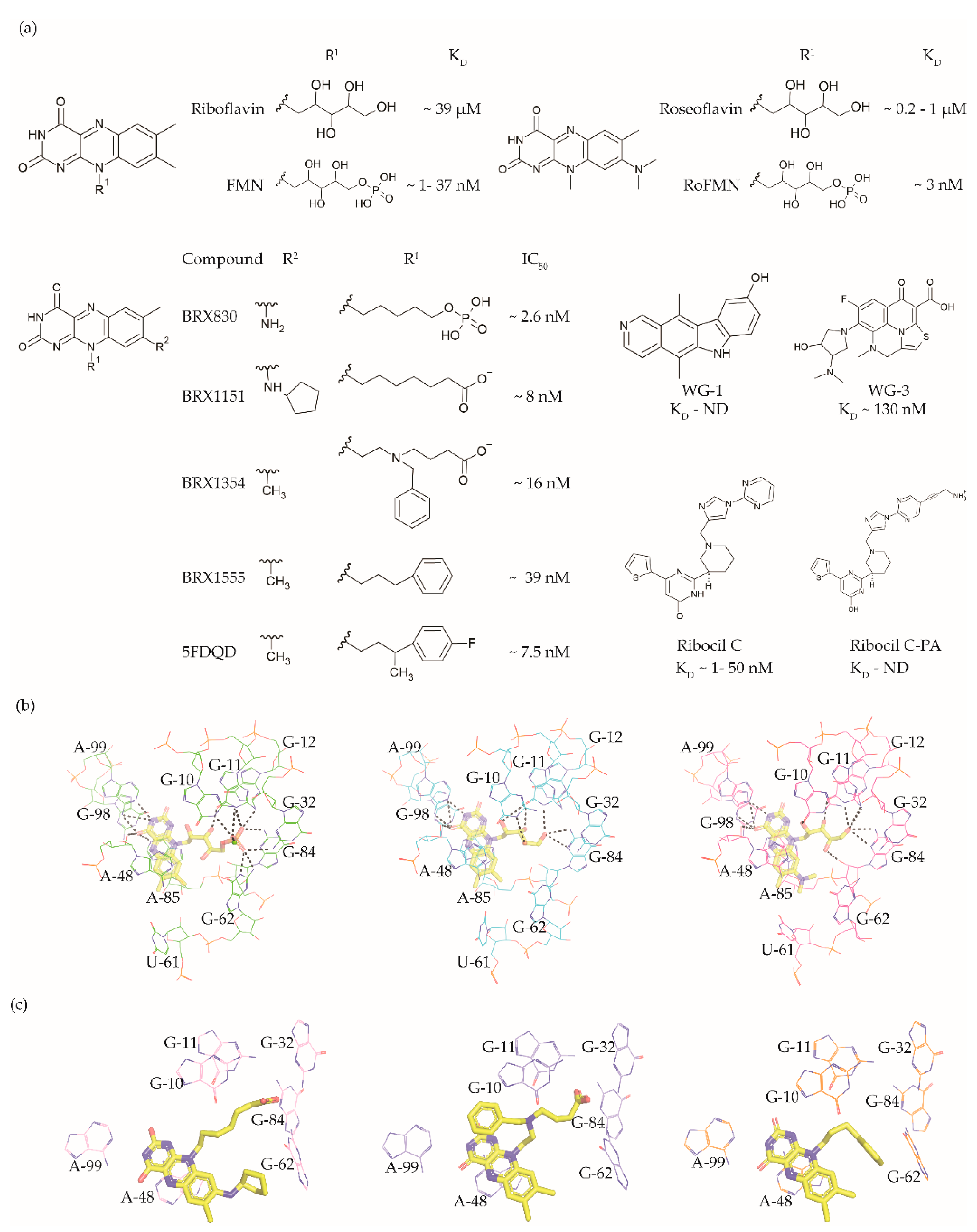 Antibiotics 10 00045 g003