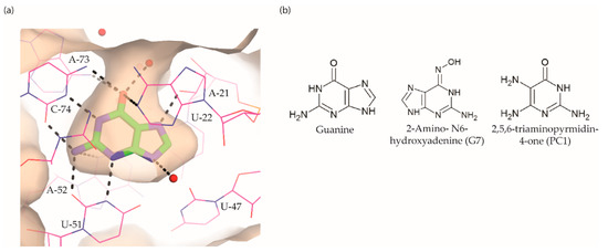 Antibiotics 10 00045 g005 550