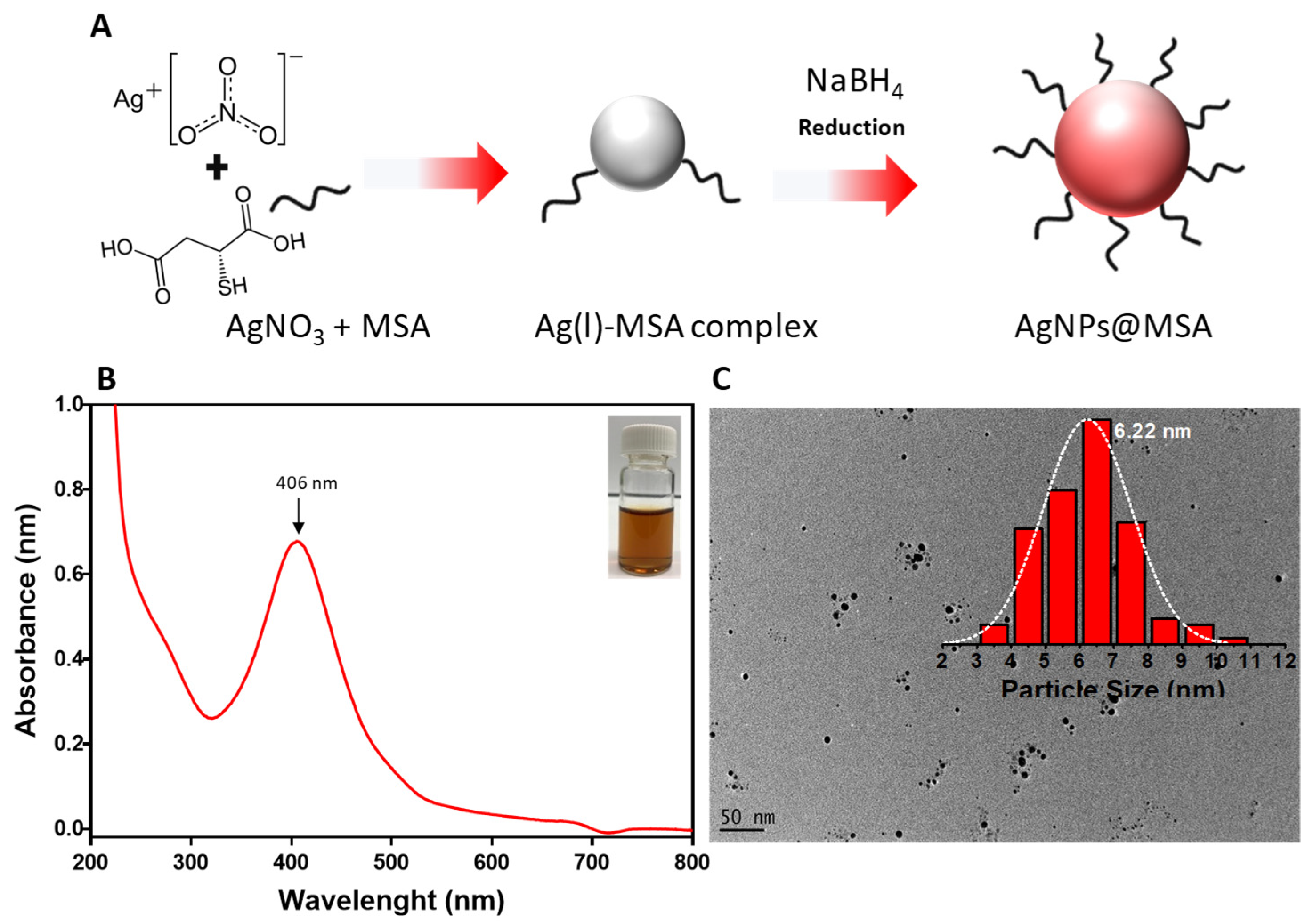 Antibiotics 10 00049 g001