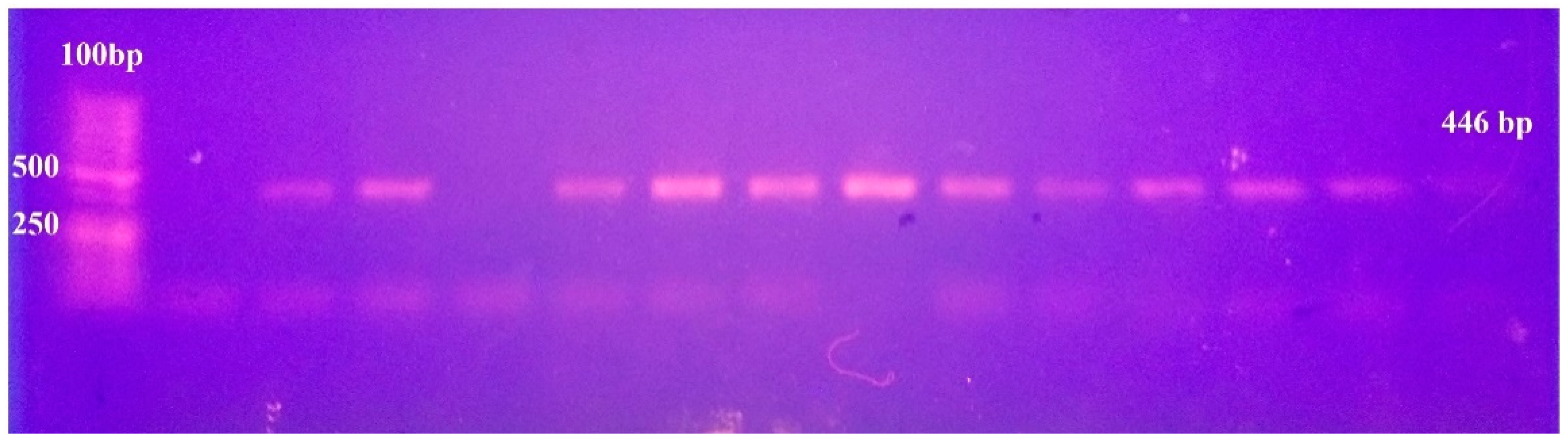 Antibiotics 10 00081 g001 Antibiotics 10 00081 g001