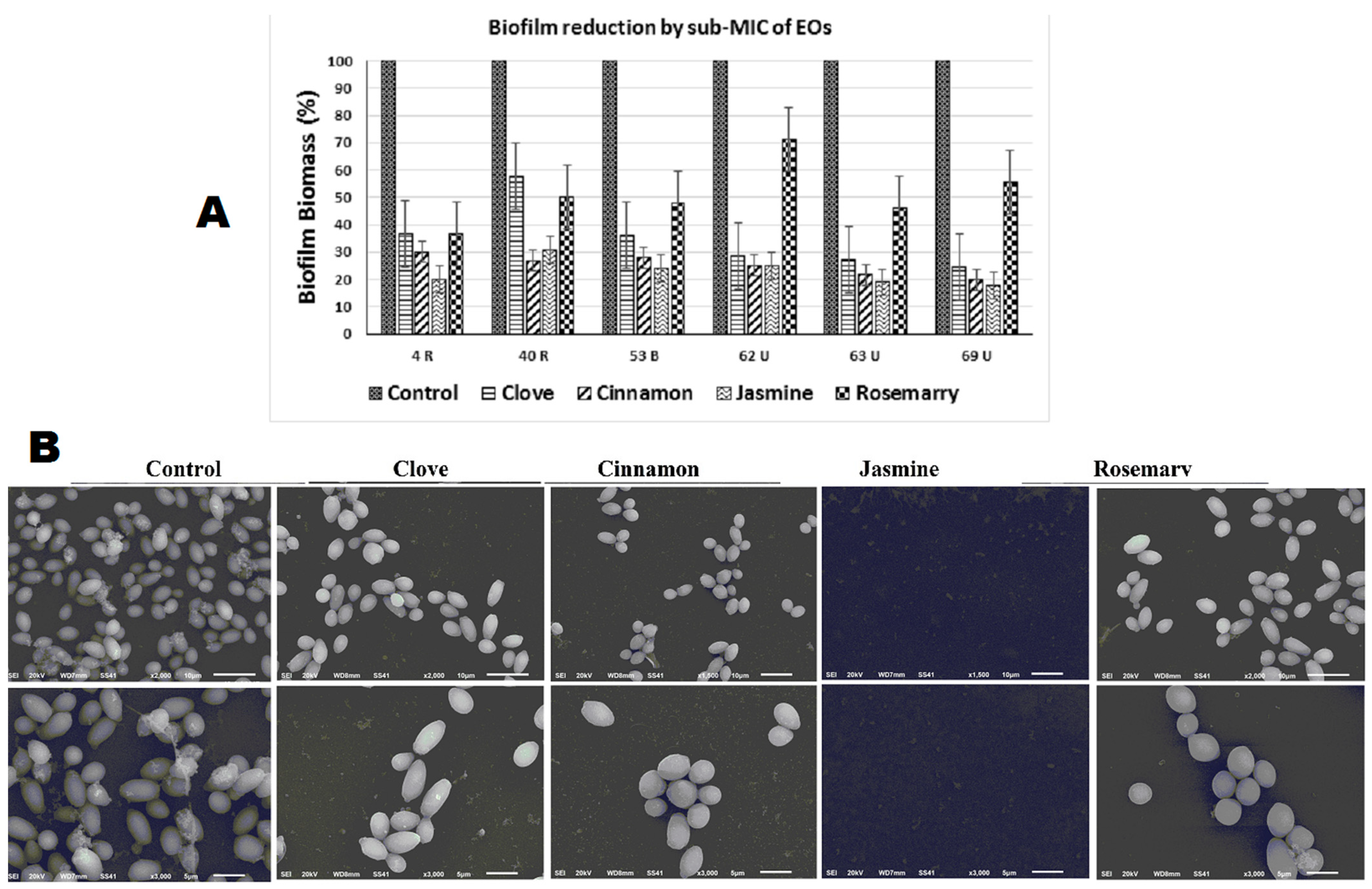 Antibiotics 10 00081 g002 Antibiotics 10 00081 g002