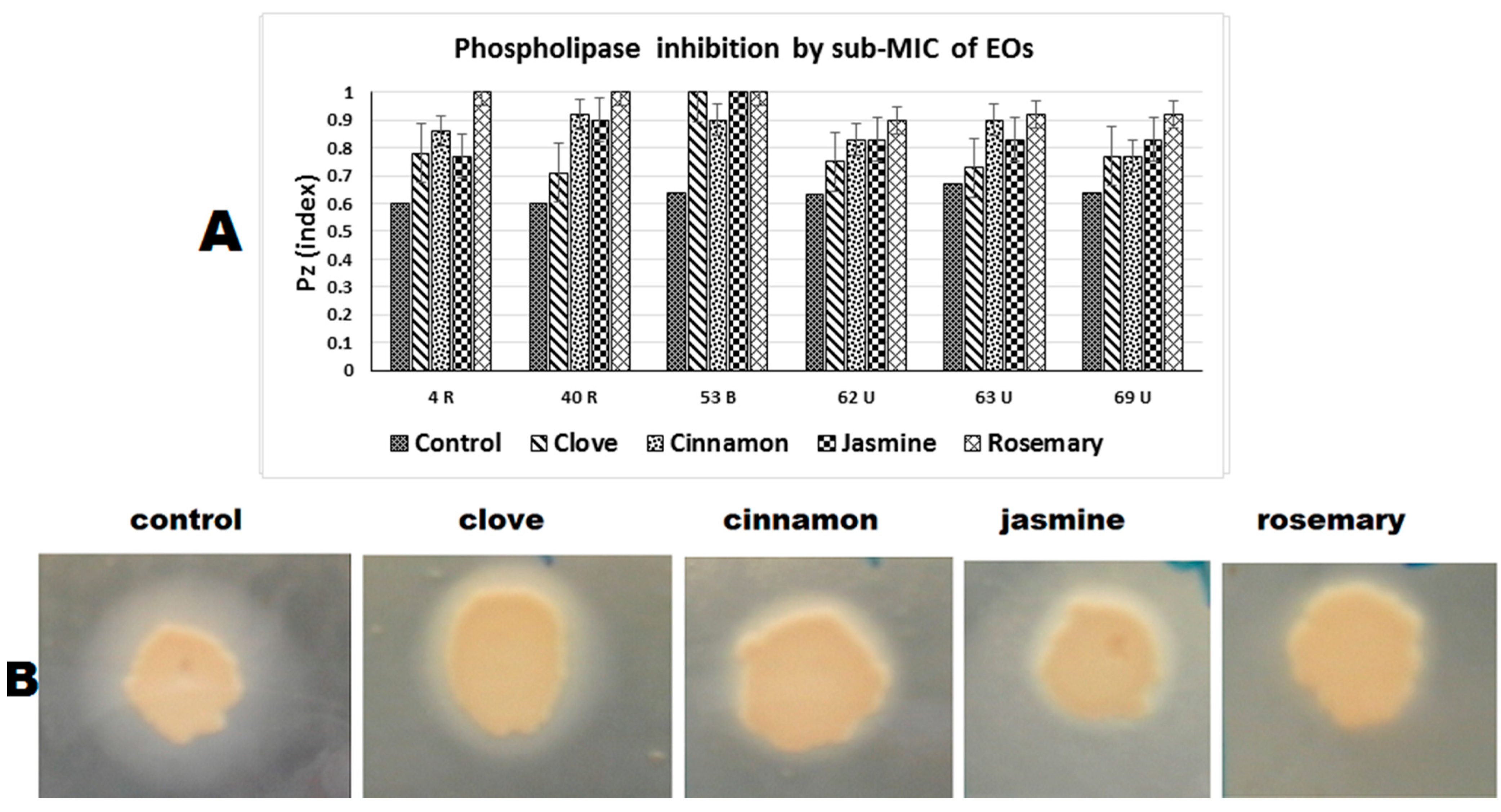 Antibiotics 10 00081 g004 Antibiotics 10 00081 g004