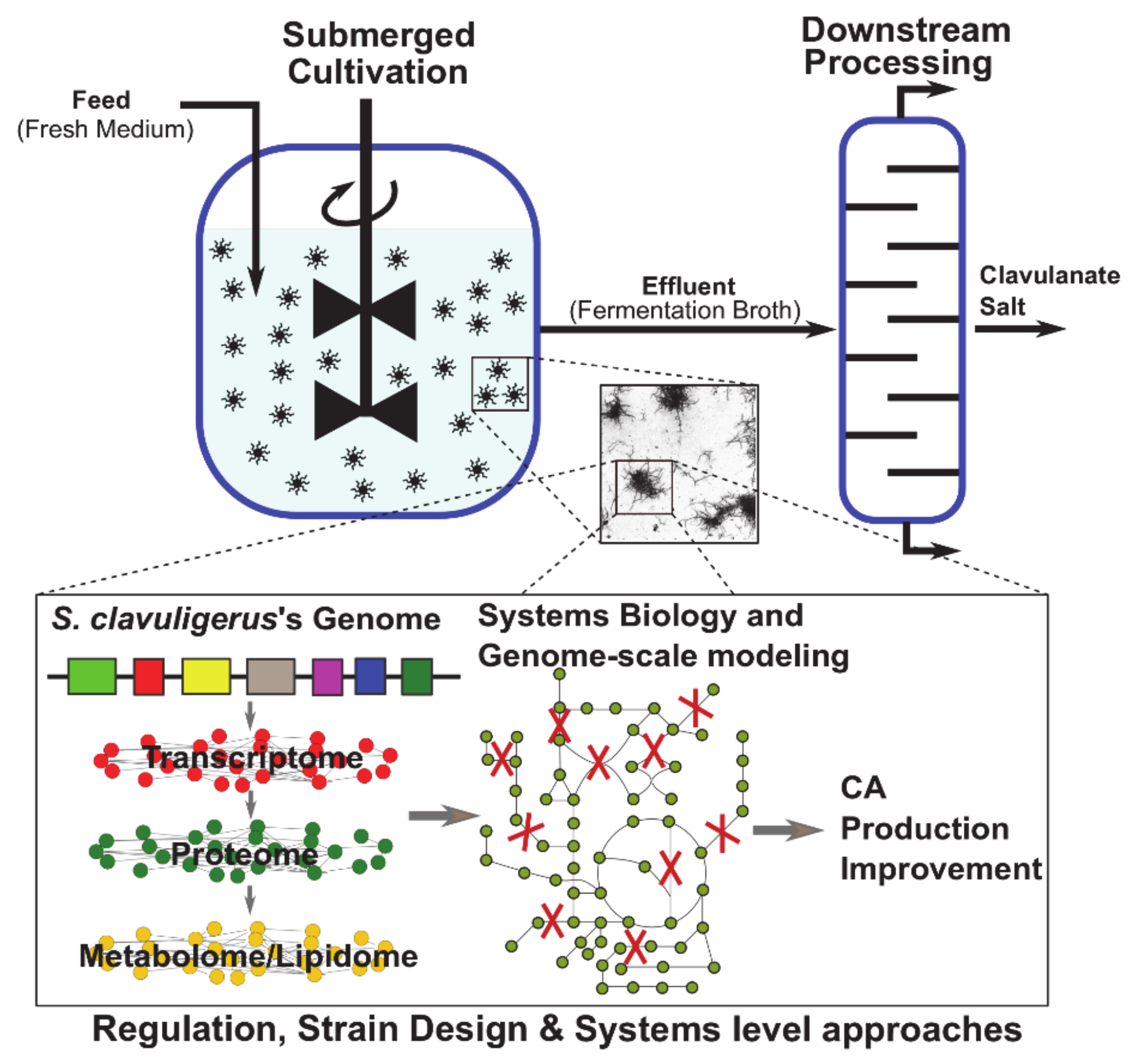 Antibiotics 10 00084 g002