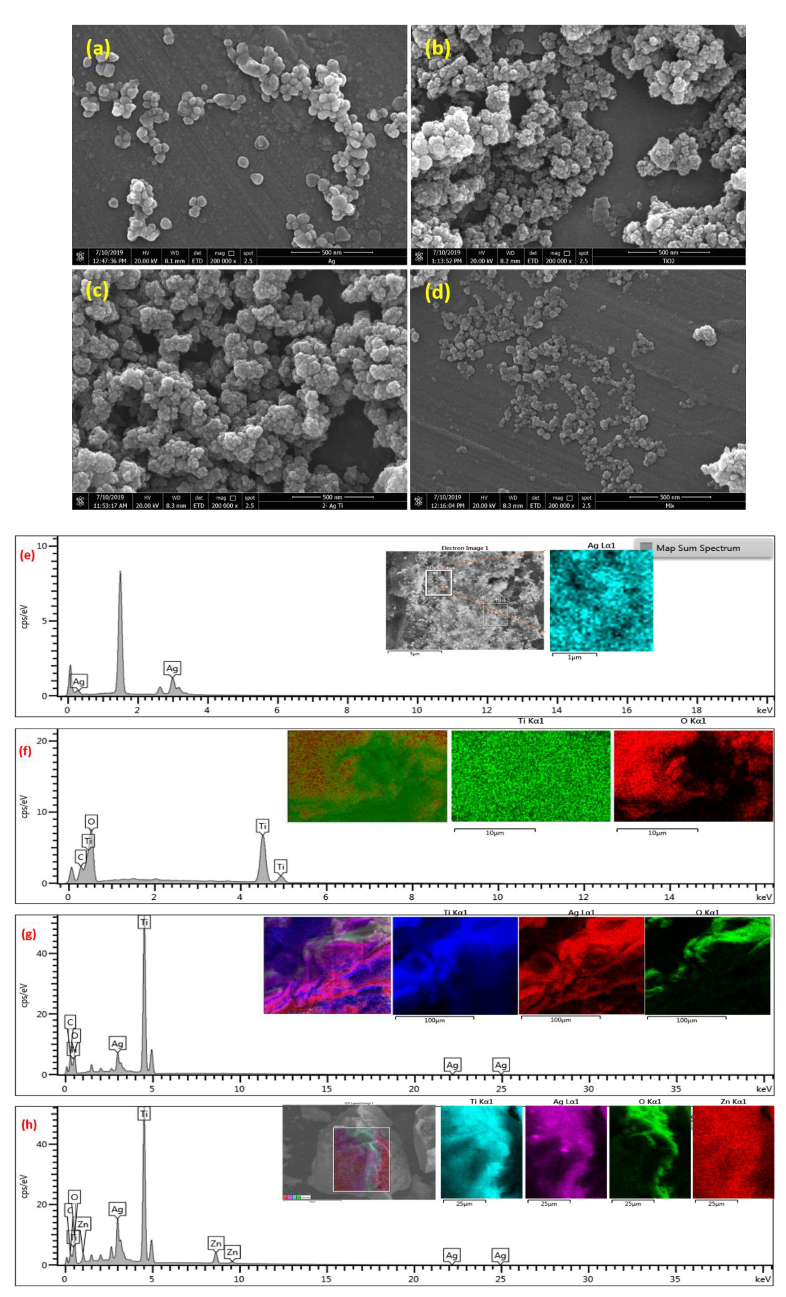 Antibiotics 10 00086 g004 Antibiotics 10 00086 g004