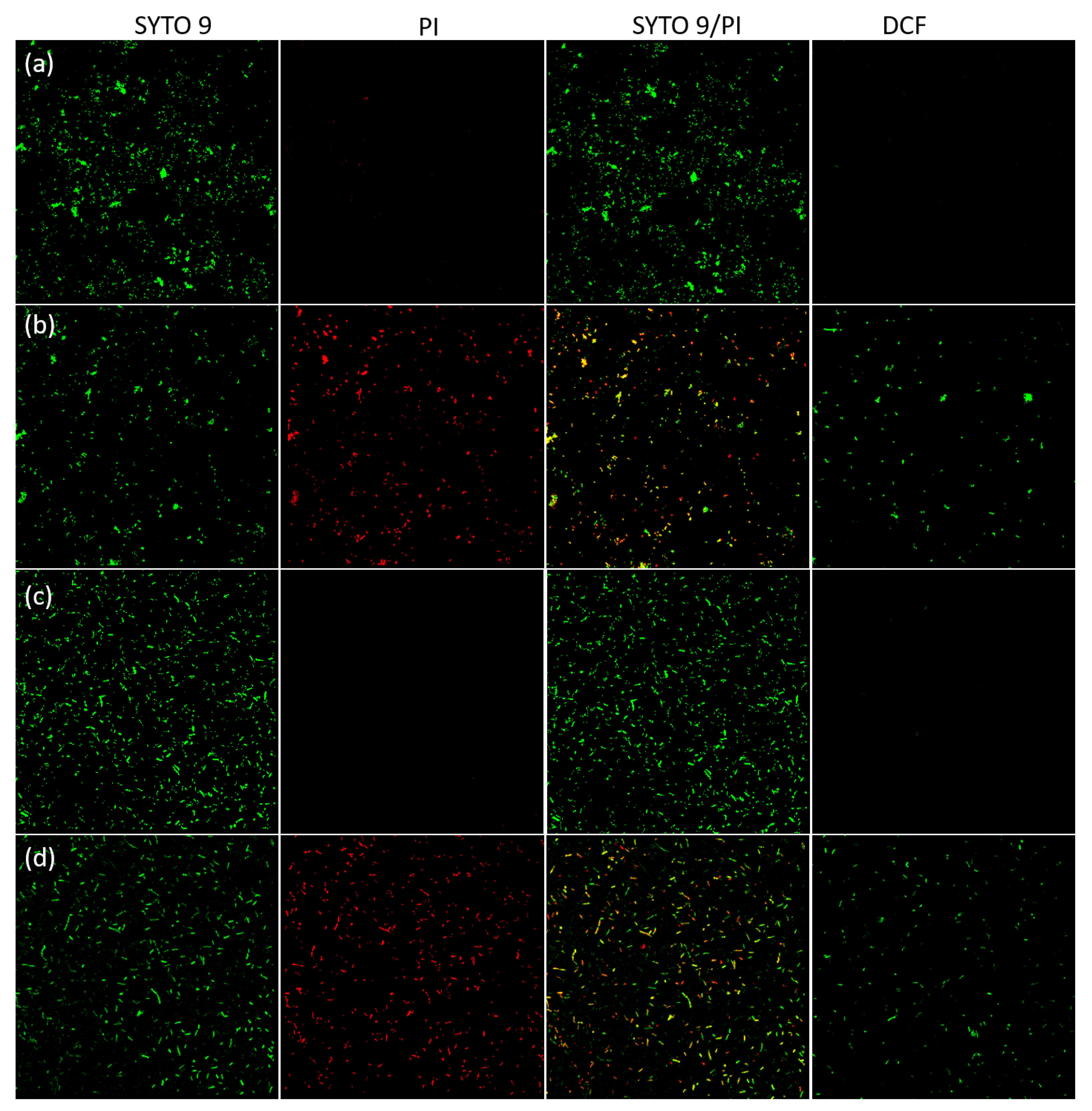 Antibiotics 10 00086 g008 Antibiotics 10 00086 g008
