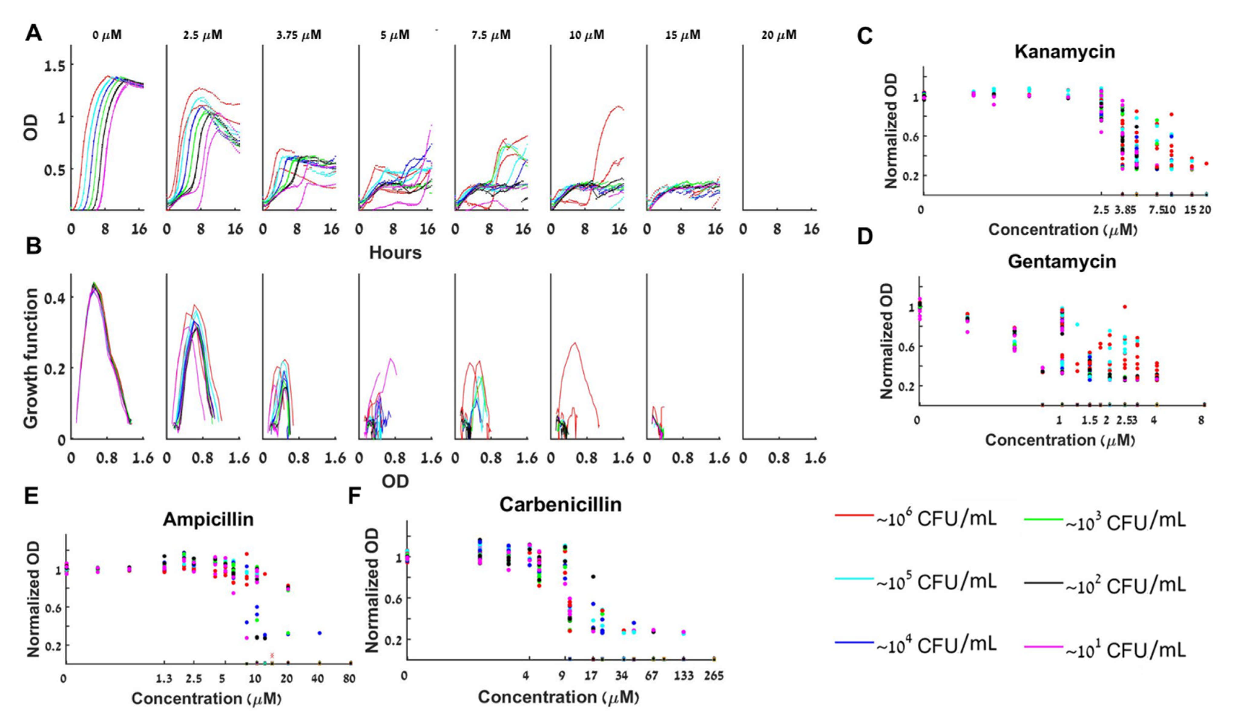 Antibiotics 10 00087 g005