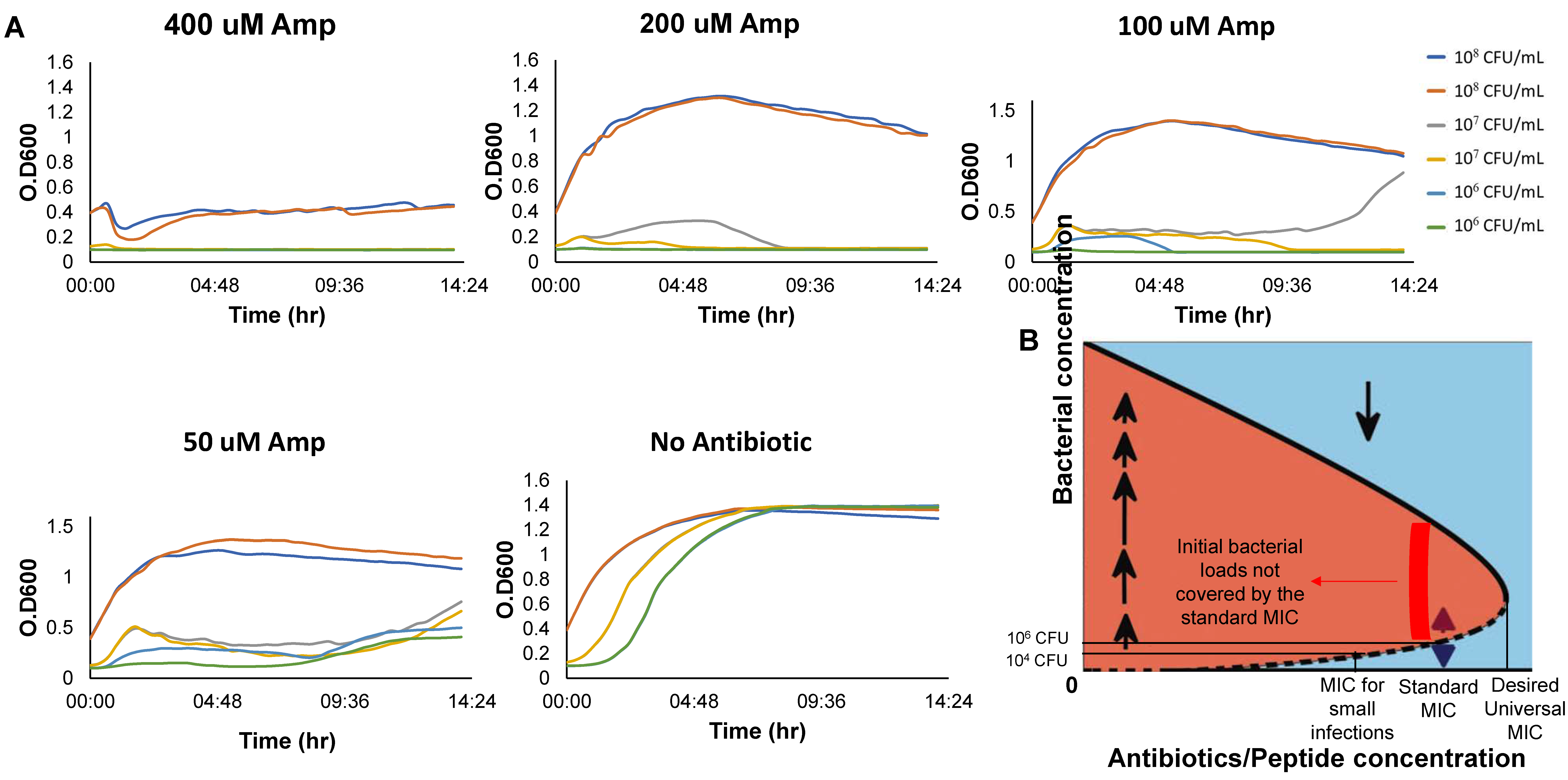 Antibiotics 10 00087 g006