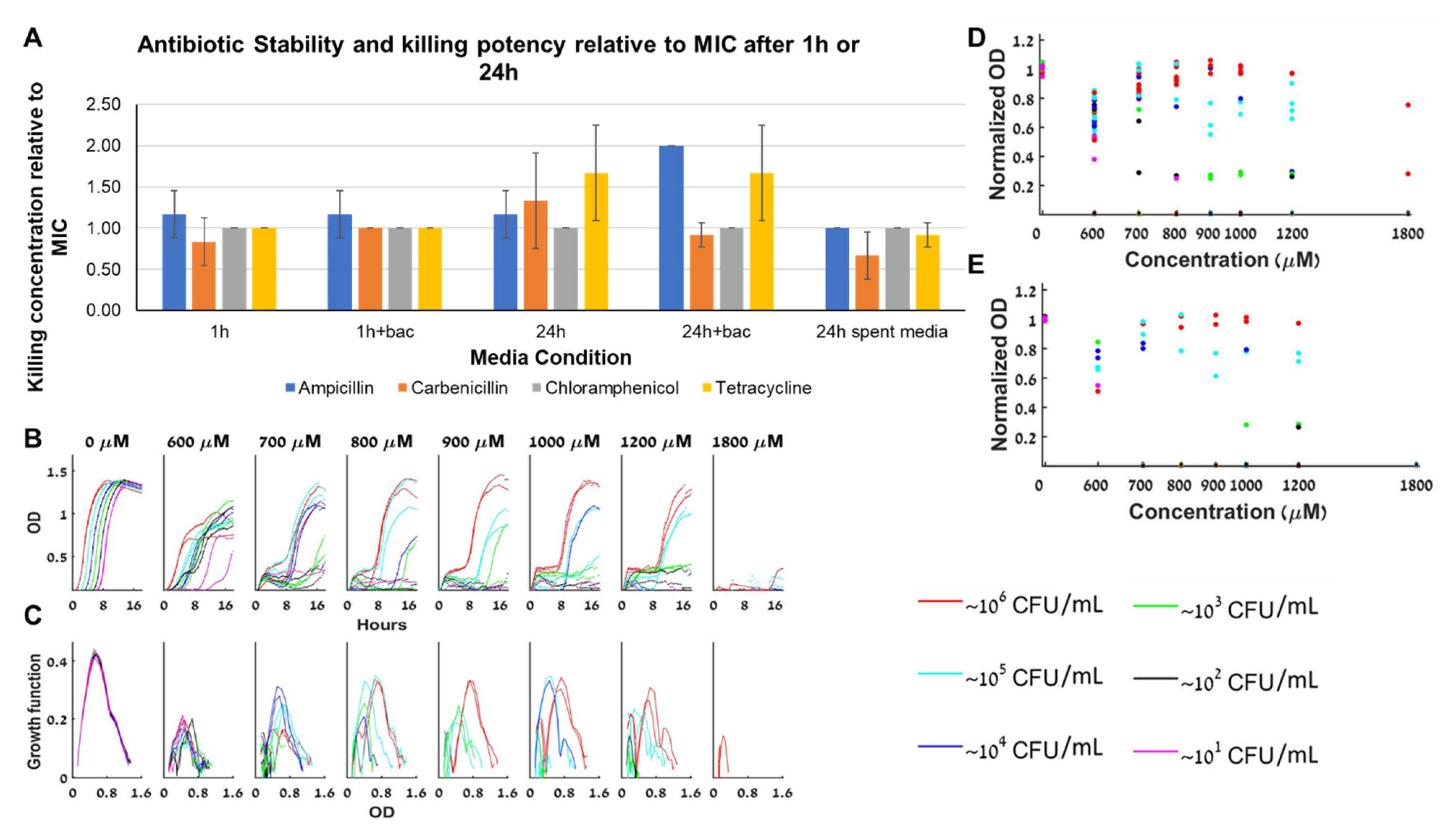 Antibiotics 10 00087 g007