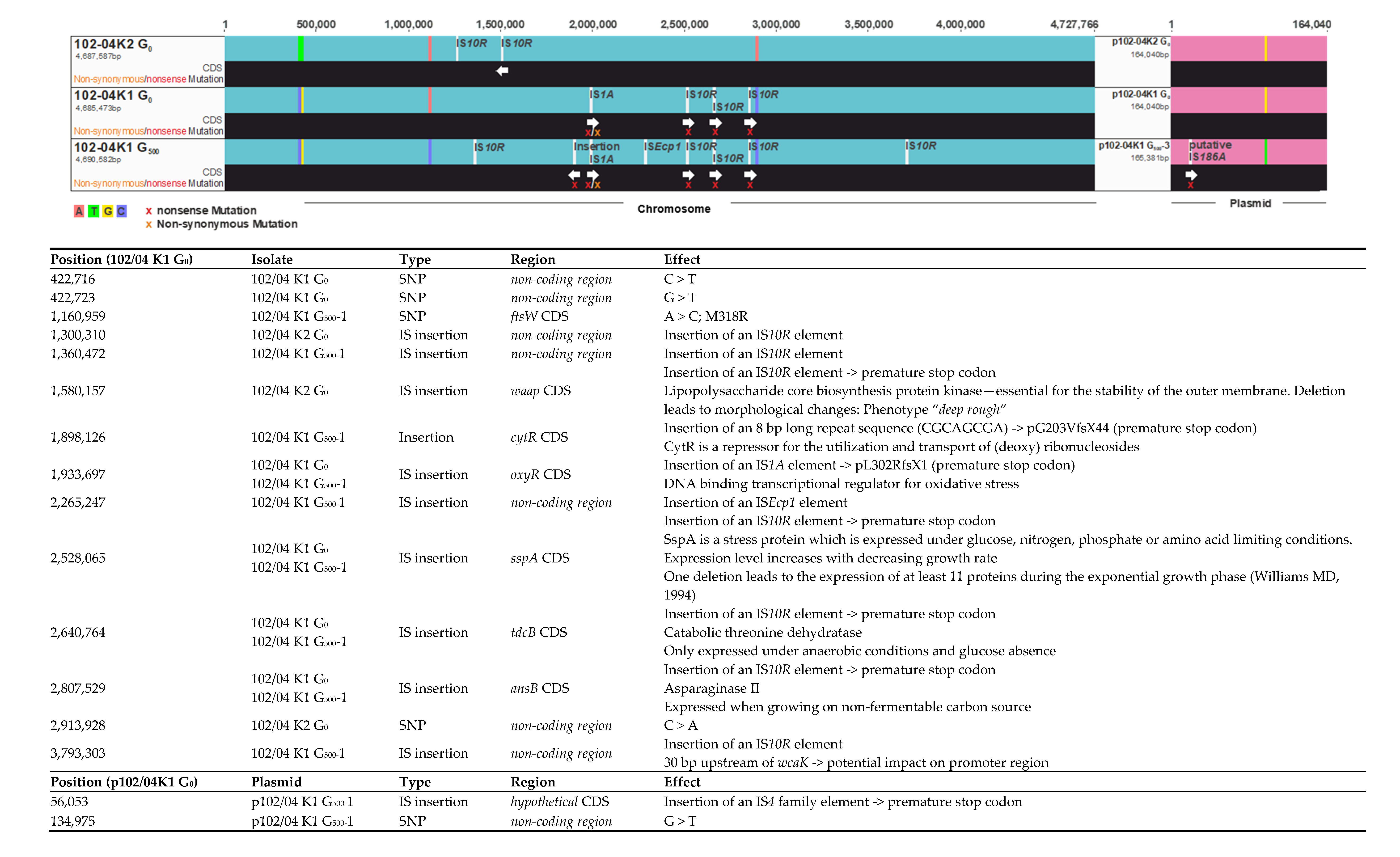 Antibiotics 10 00090 g003