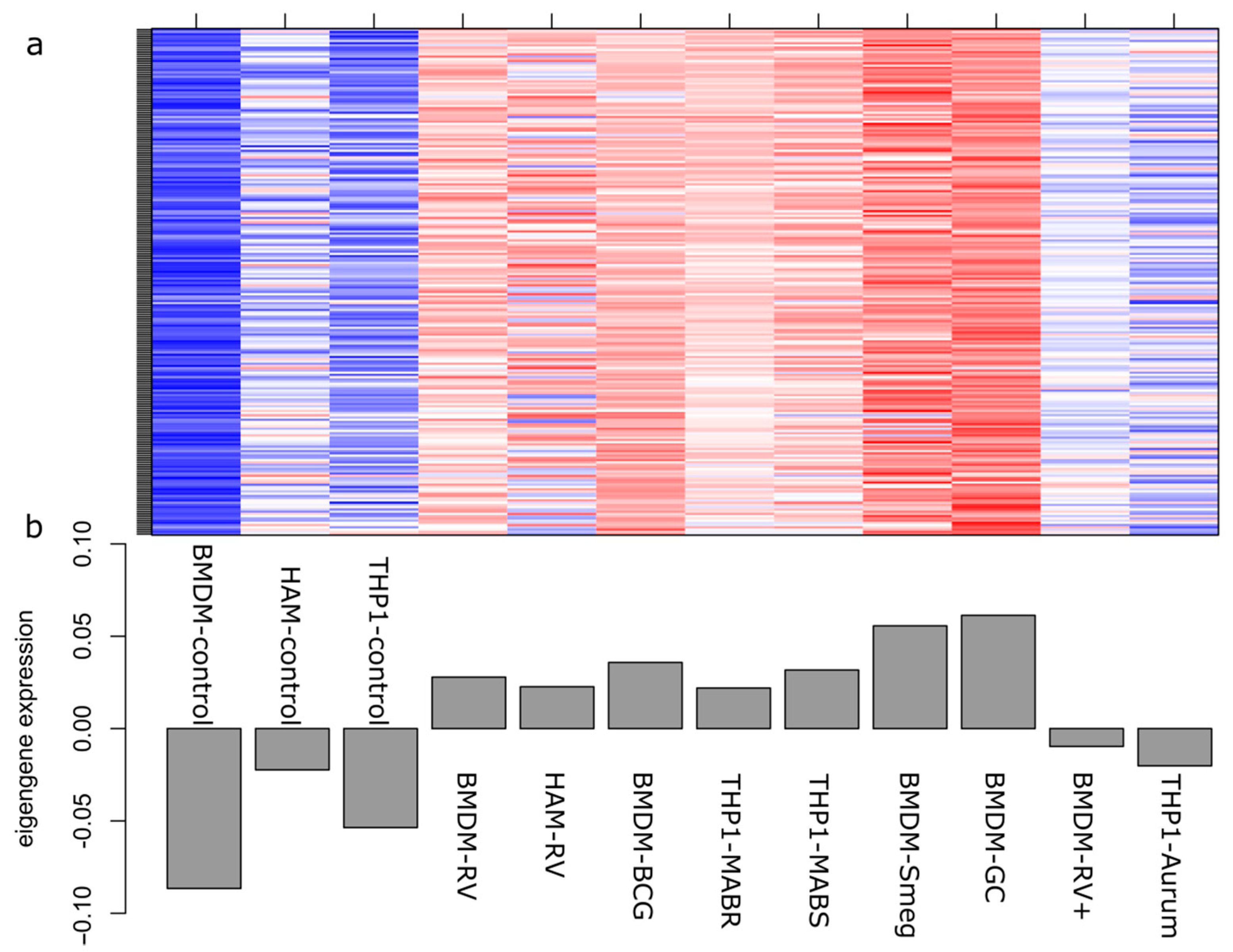 Antibiotics 10 00097 g005 Antibiotics 10 00097 g005