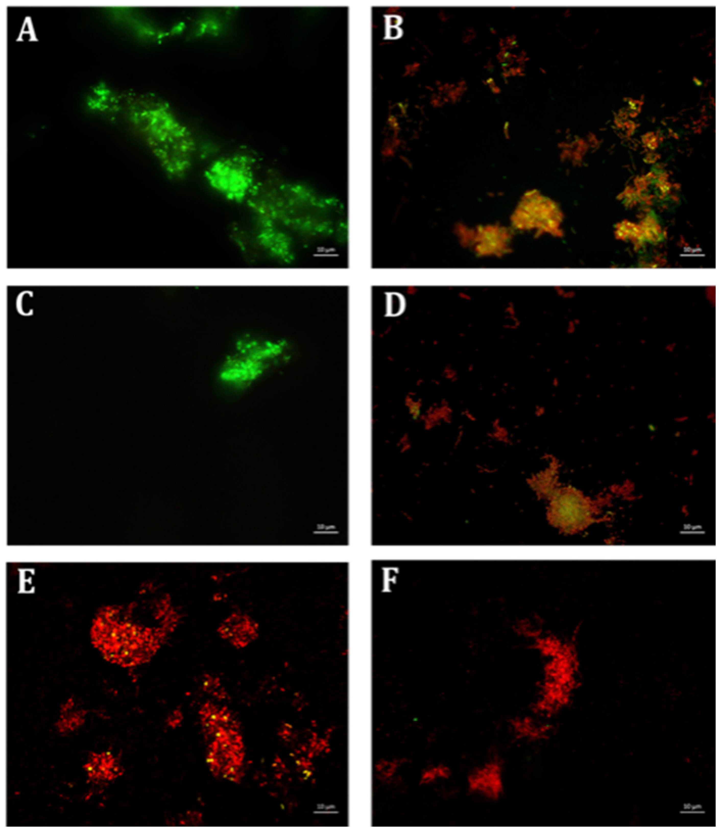 Antibiotics 10 00102 g004 Antibiotics 10 00102 g004