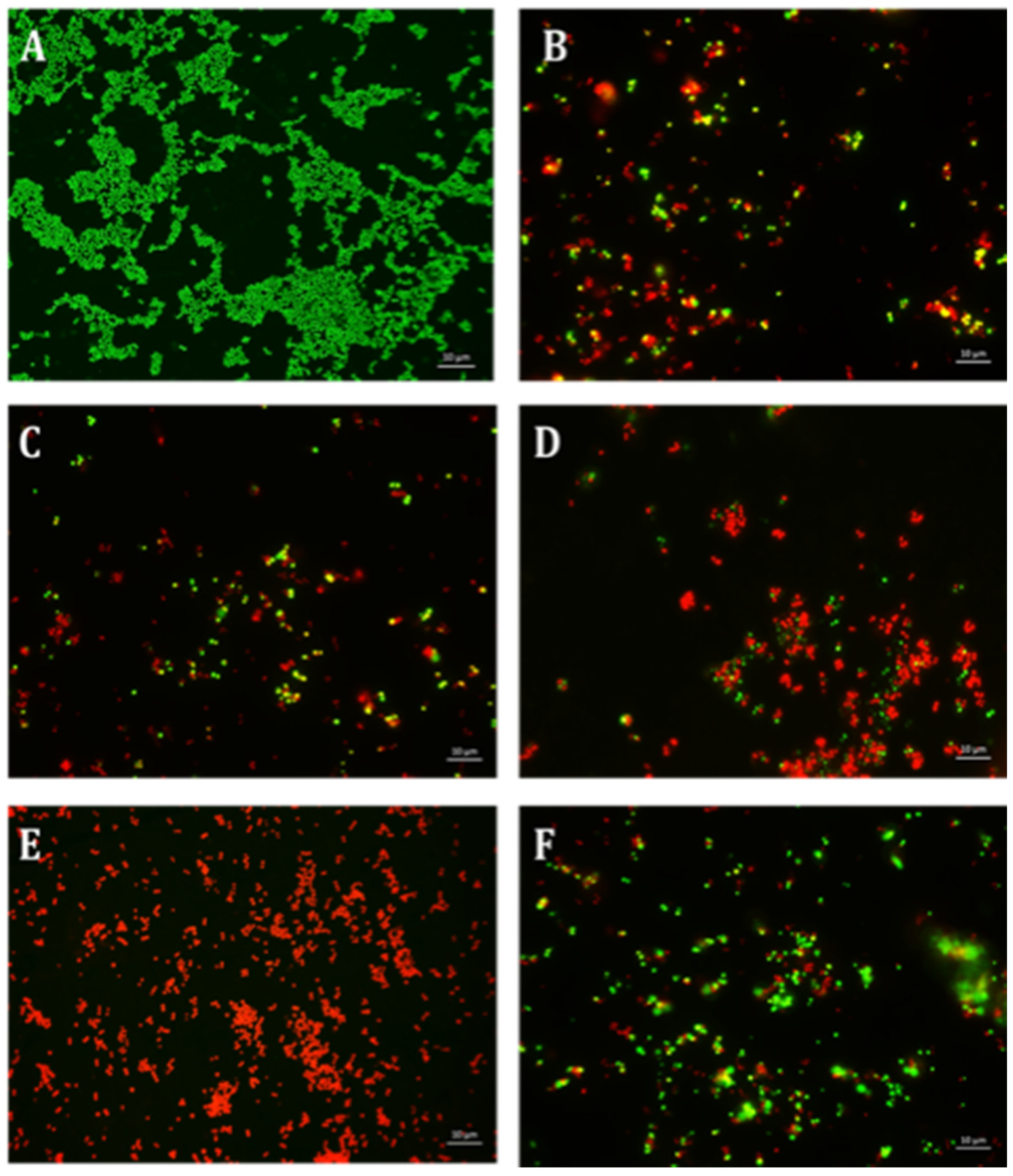 Antibiotics 10 00102 g010 Antibiotics 10 00102 g010
