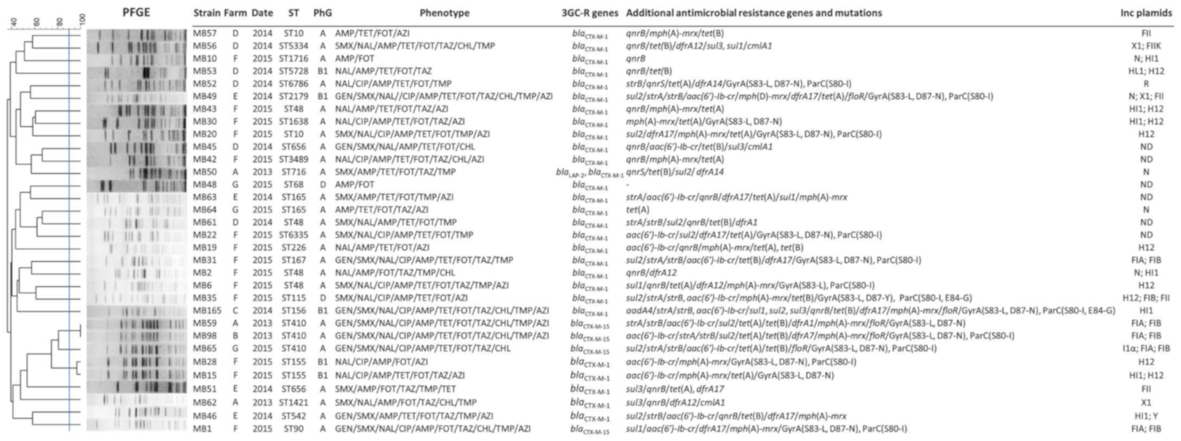 Antibiotics 10 00107 g001