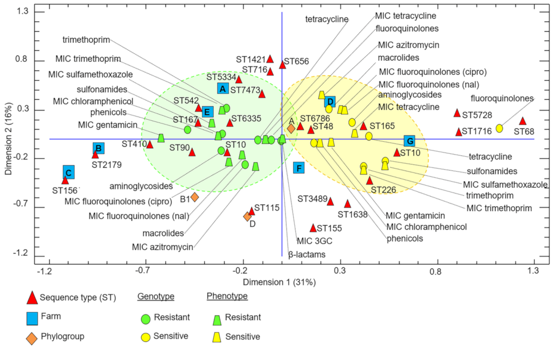 Antibiotics 10 00107 g003