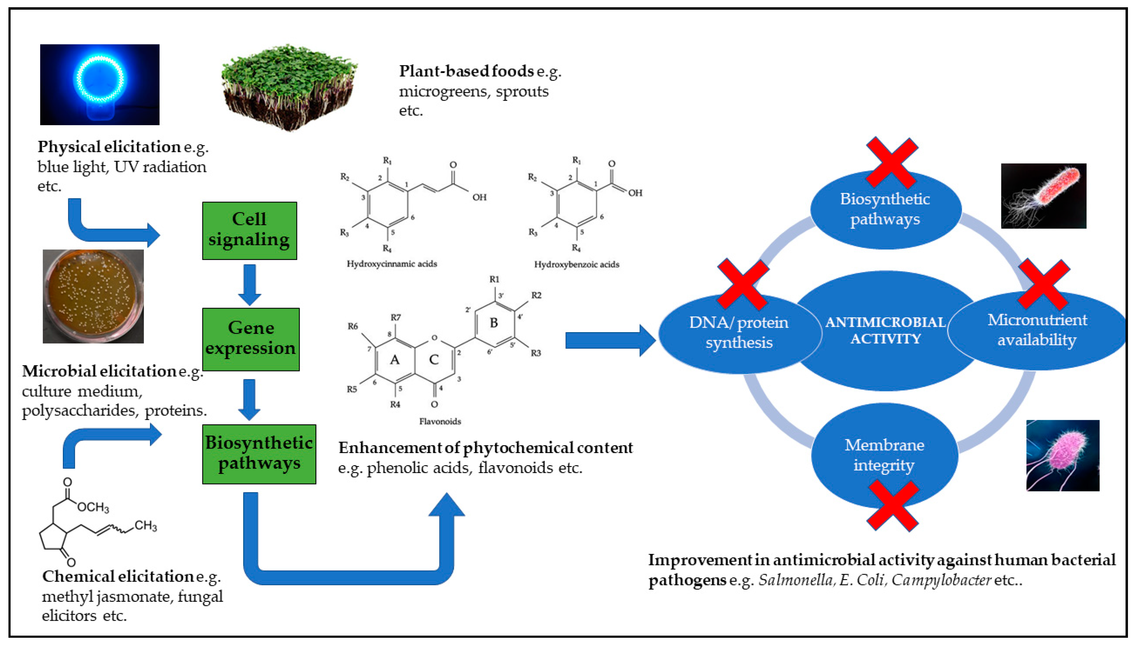 Antibiotics 10 00109 g002 Antibiotics 10 00109 g002