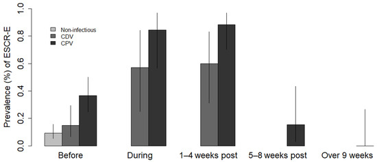 Parvovirus antibiotics sales