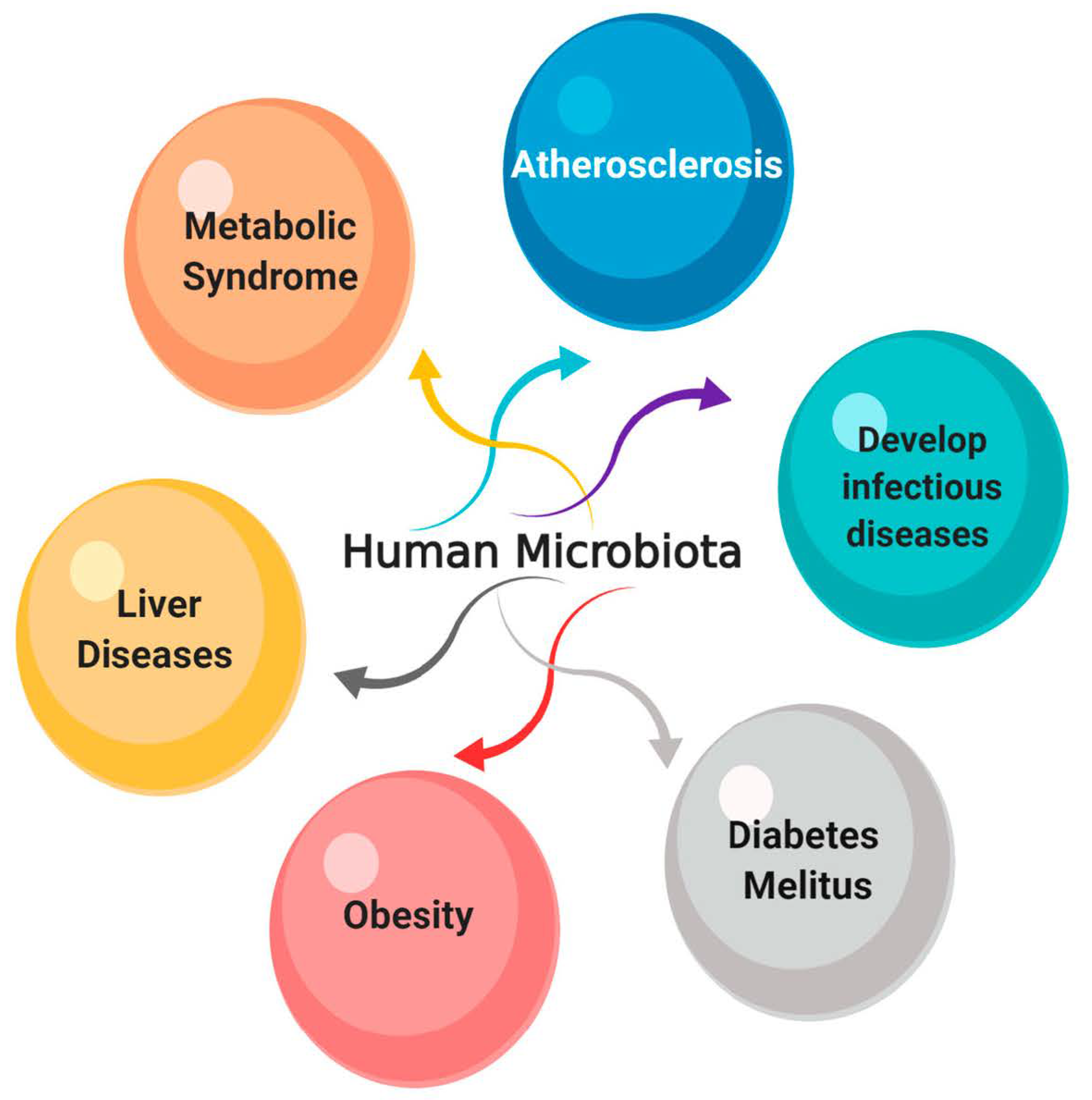 Antibiotics 10 00124 g008