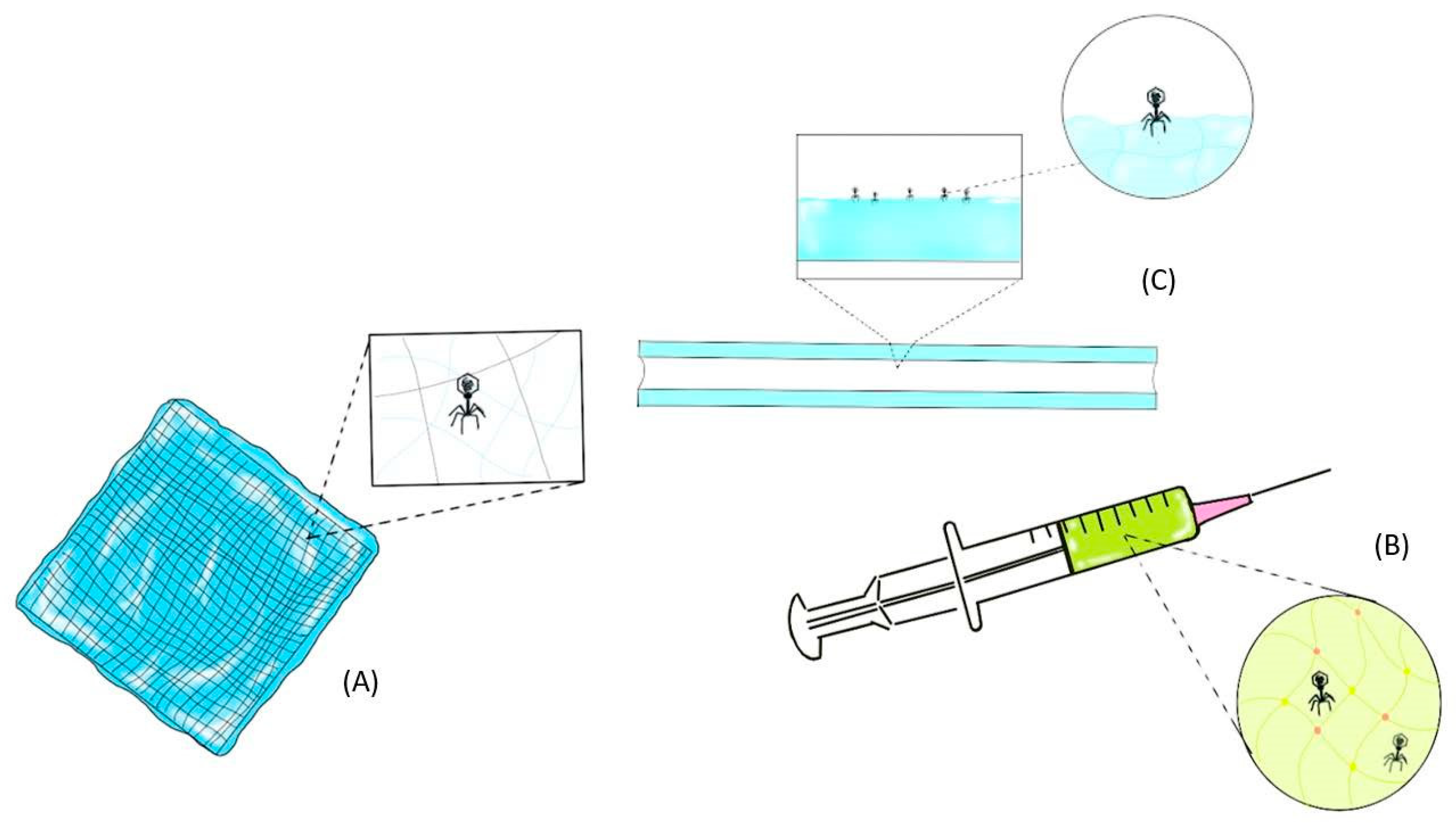 Antibiotics 10 00130 g002 Antibiotics 10 00130 g002