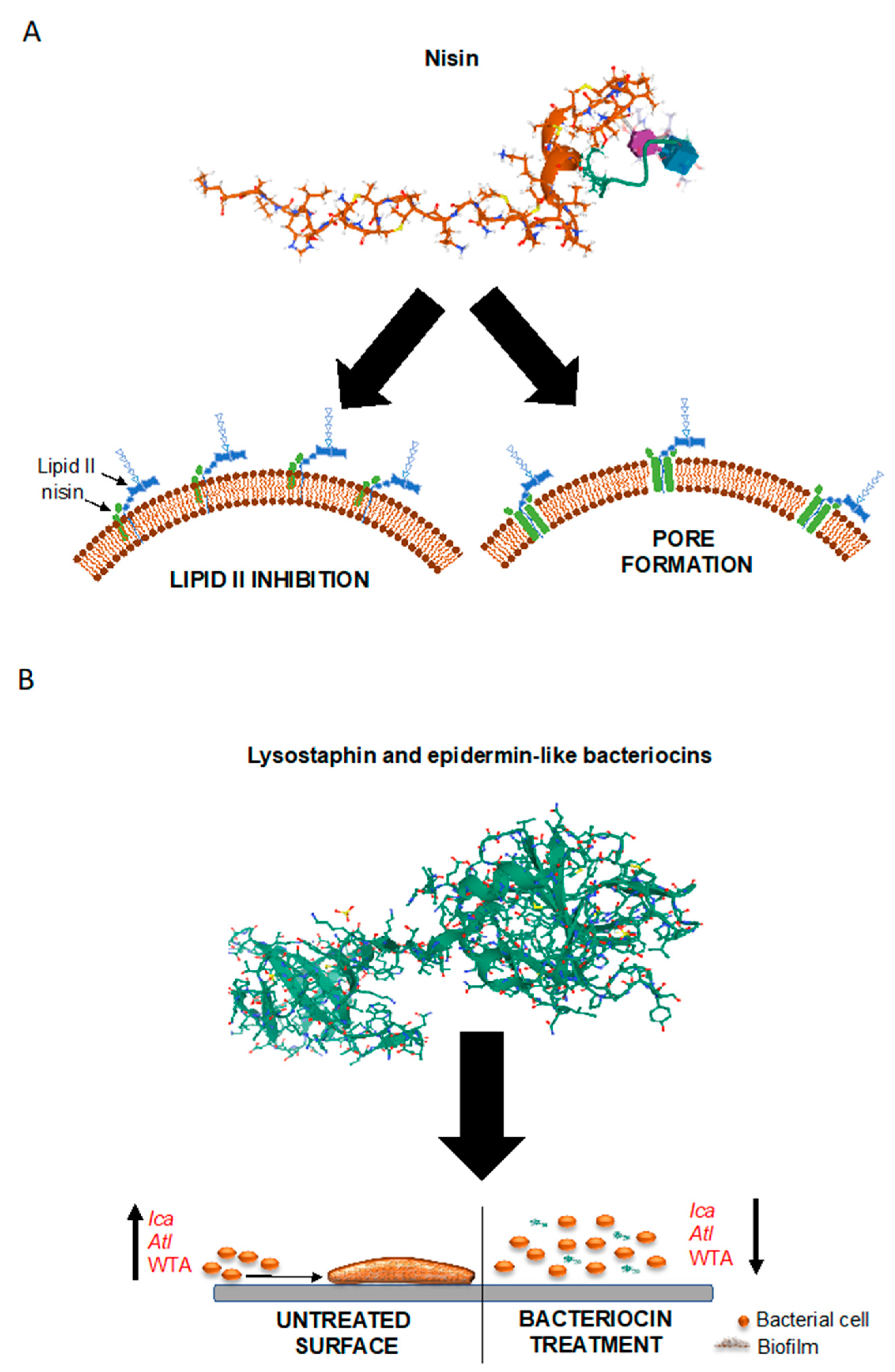 Antibiotics 10 00131 g002