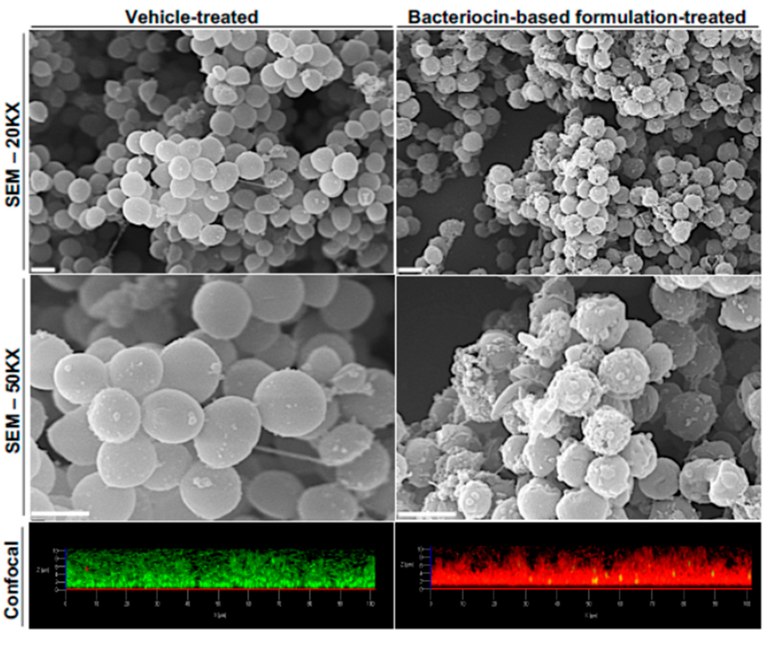 Antibiotics 10 00131 g003