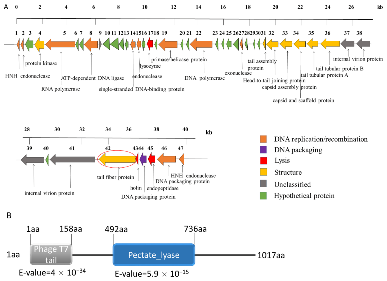 Antibiotics 10 00144 g002 Antibiotics 10 00144 g002
