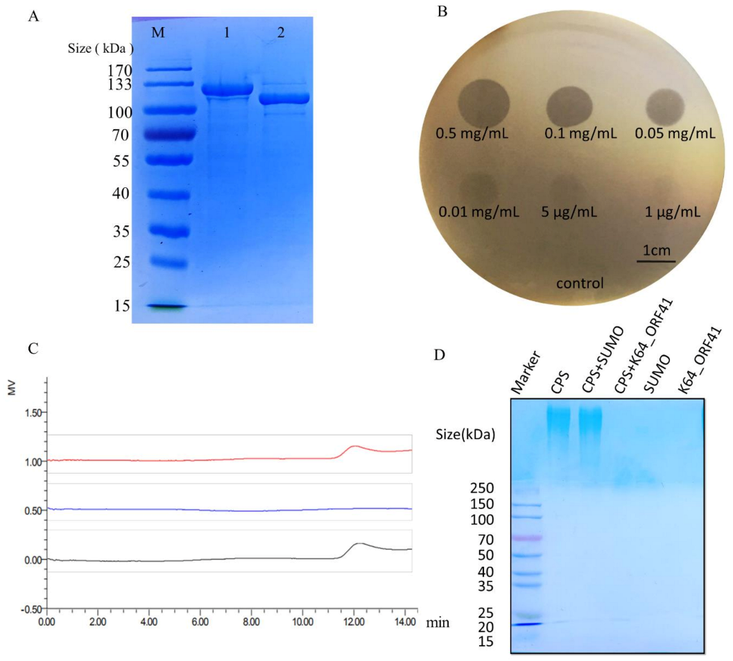 Antibiotics 10 00144 g003 Antibiotics 10 00144 g003