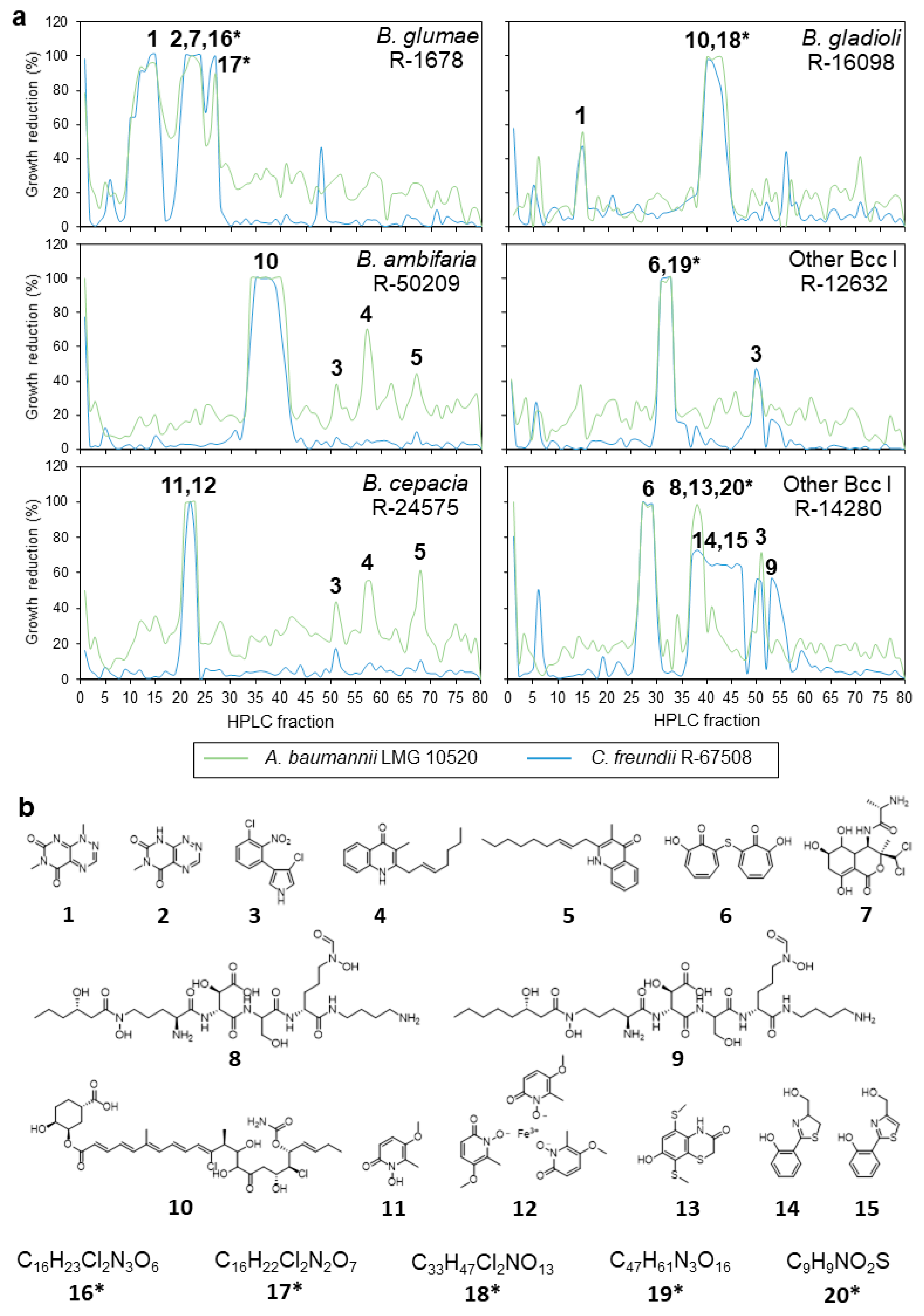 Antibiotics 10 00147 g001 Antibiotics 10 00147 g001