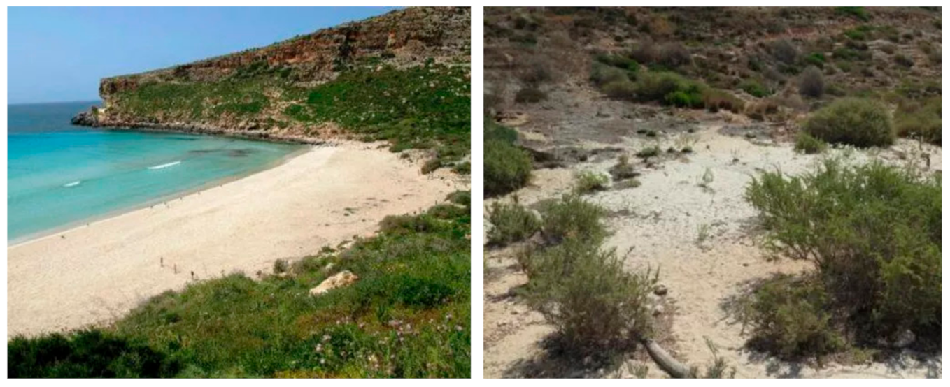 Antibiotics 10 00148 g001