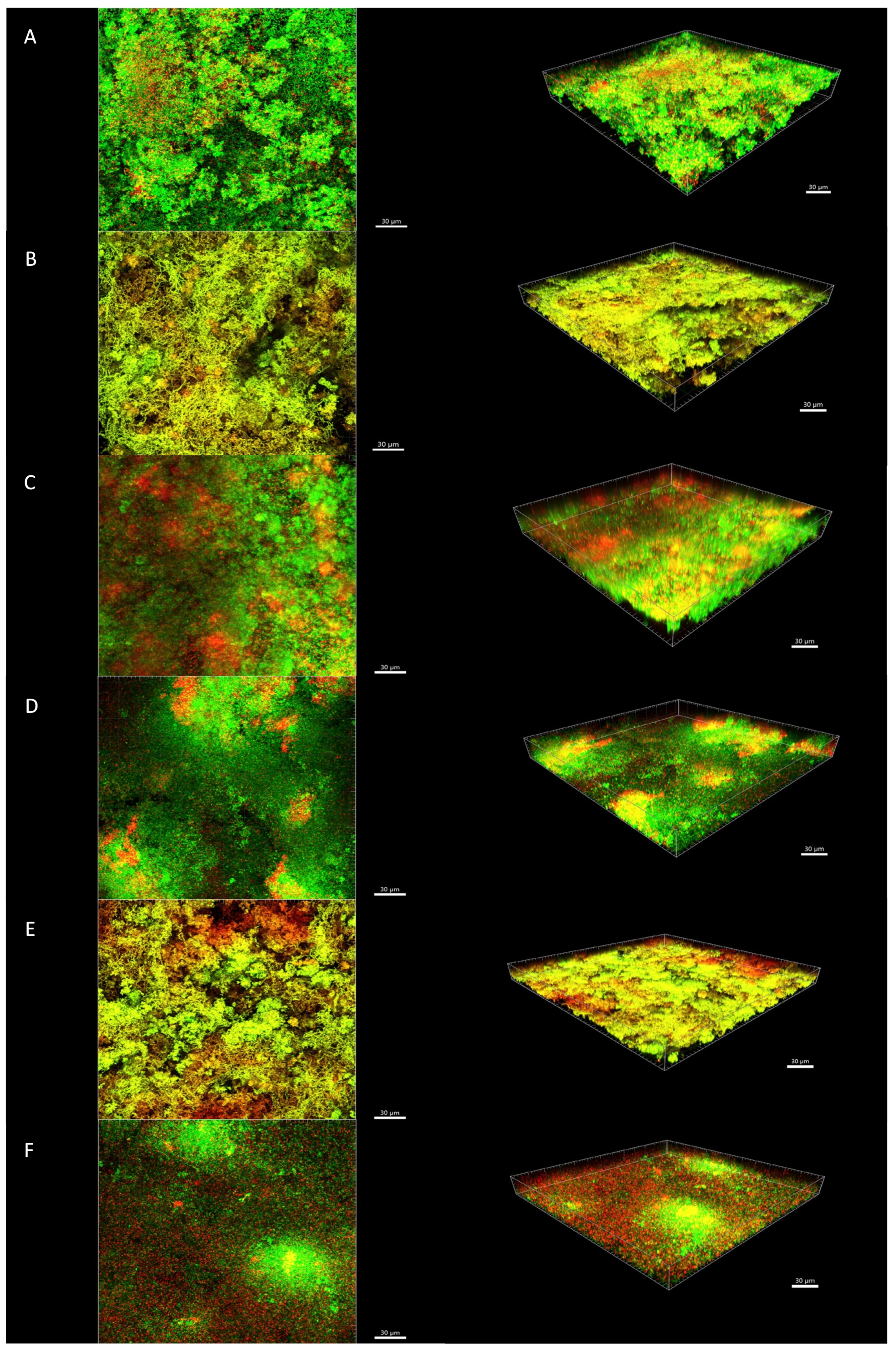 Antibiotics 10 00149 g002 Antibiotics 10 00149 g002