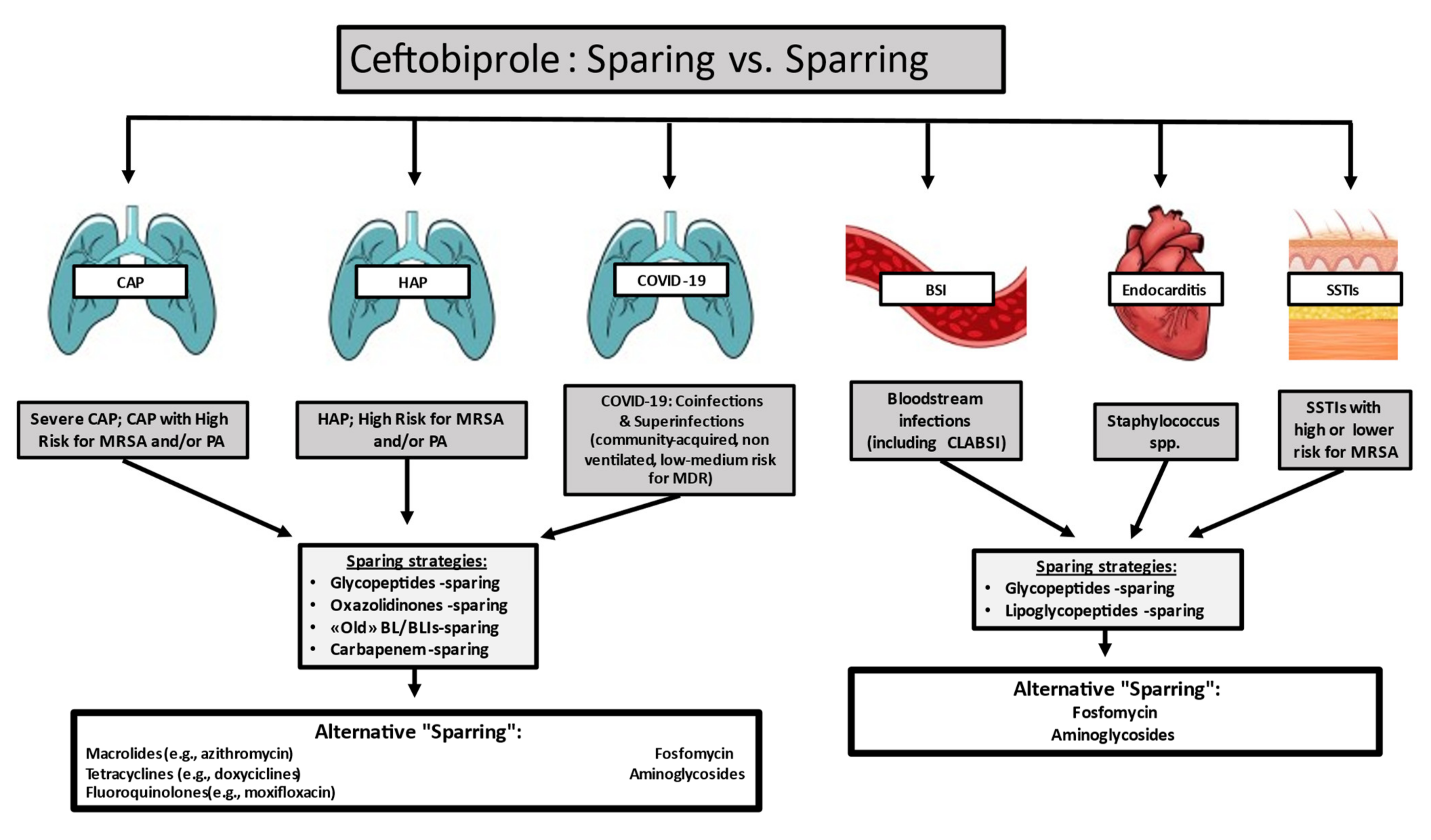 Antibiotics 10 00170 g001