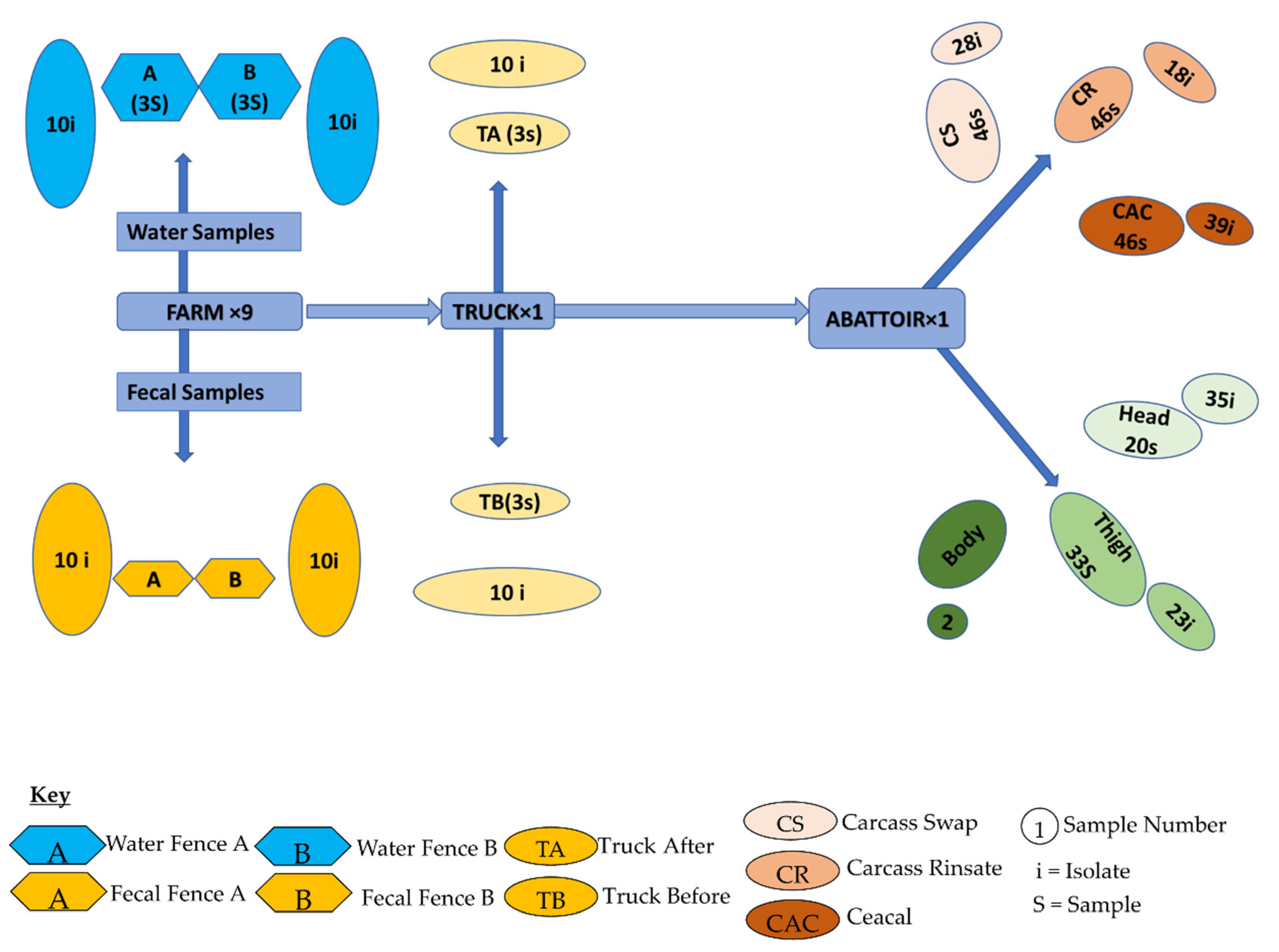 Antibiotics 10 00178 g005 Antibiotics 10 00178 g005