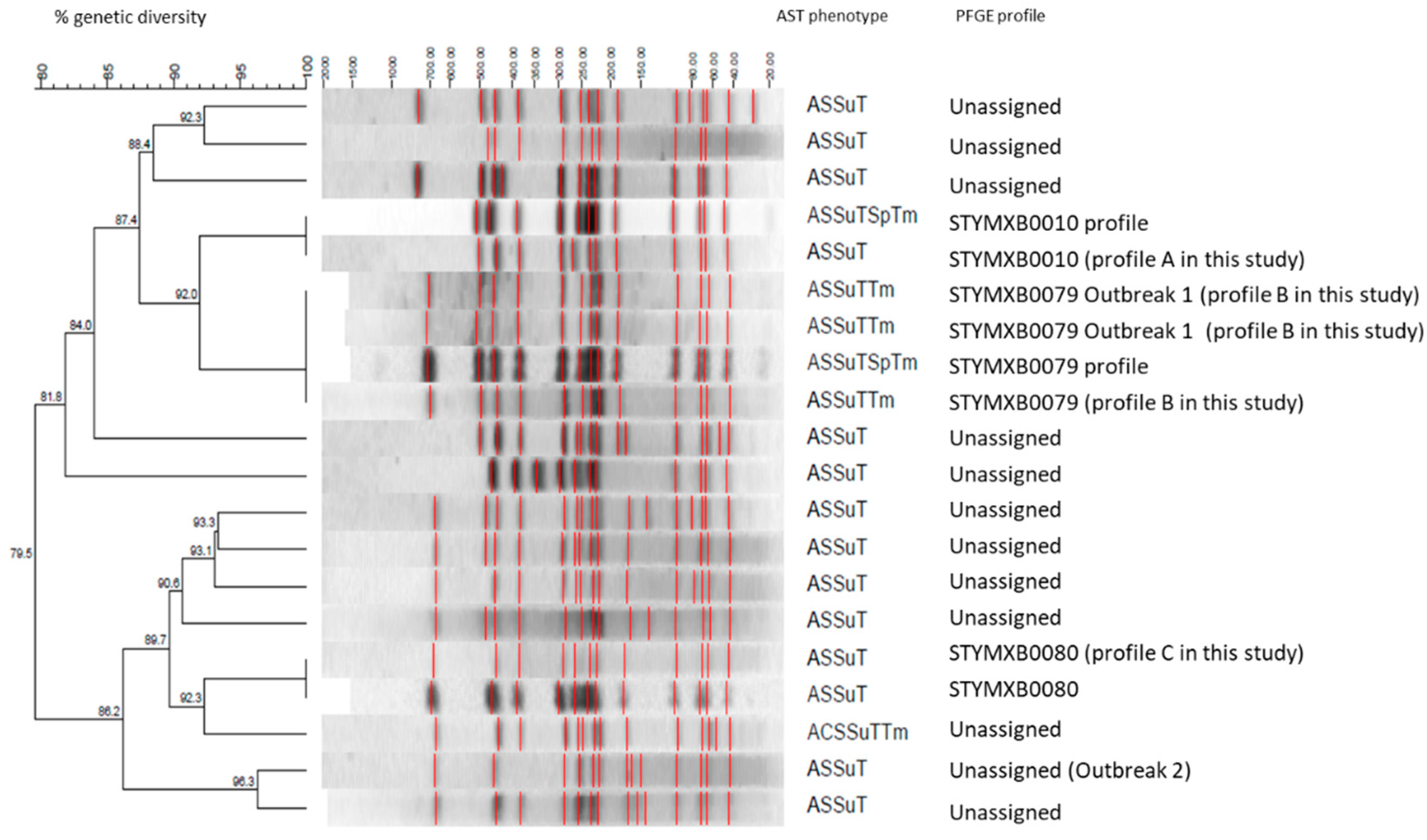 Antibiotics 10 00185 g003
