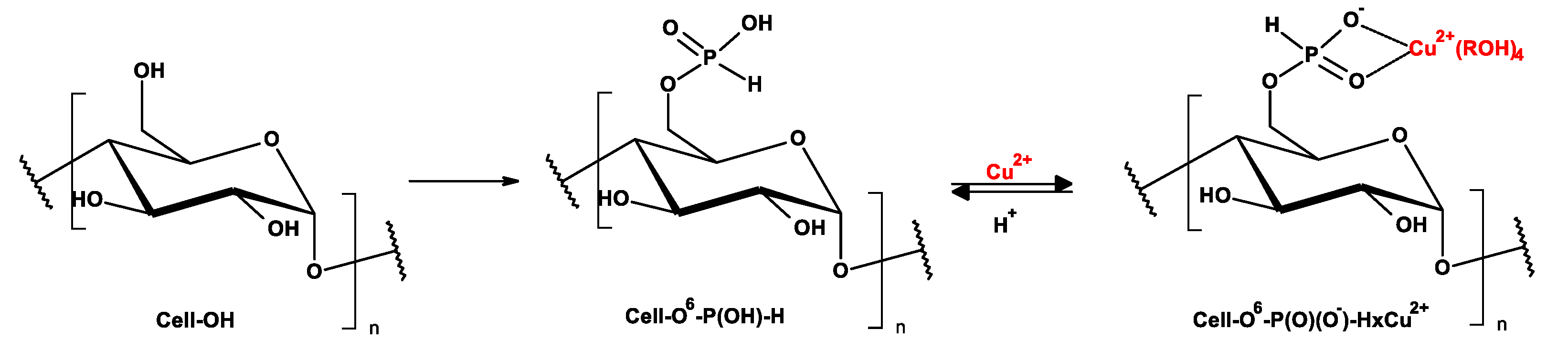 Antibiotics 10 00203 g004 Antibiotics 10 00203 g004