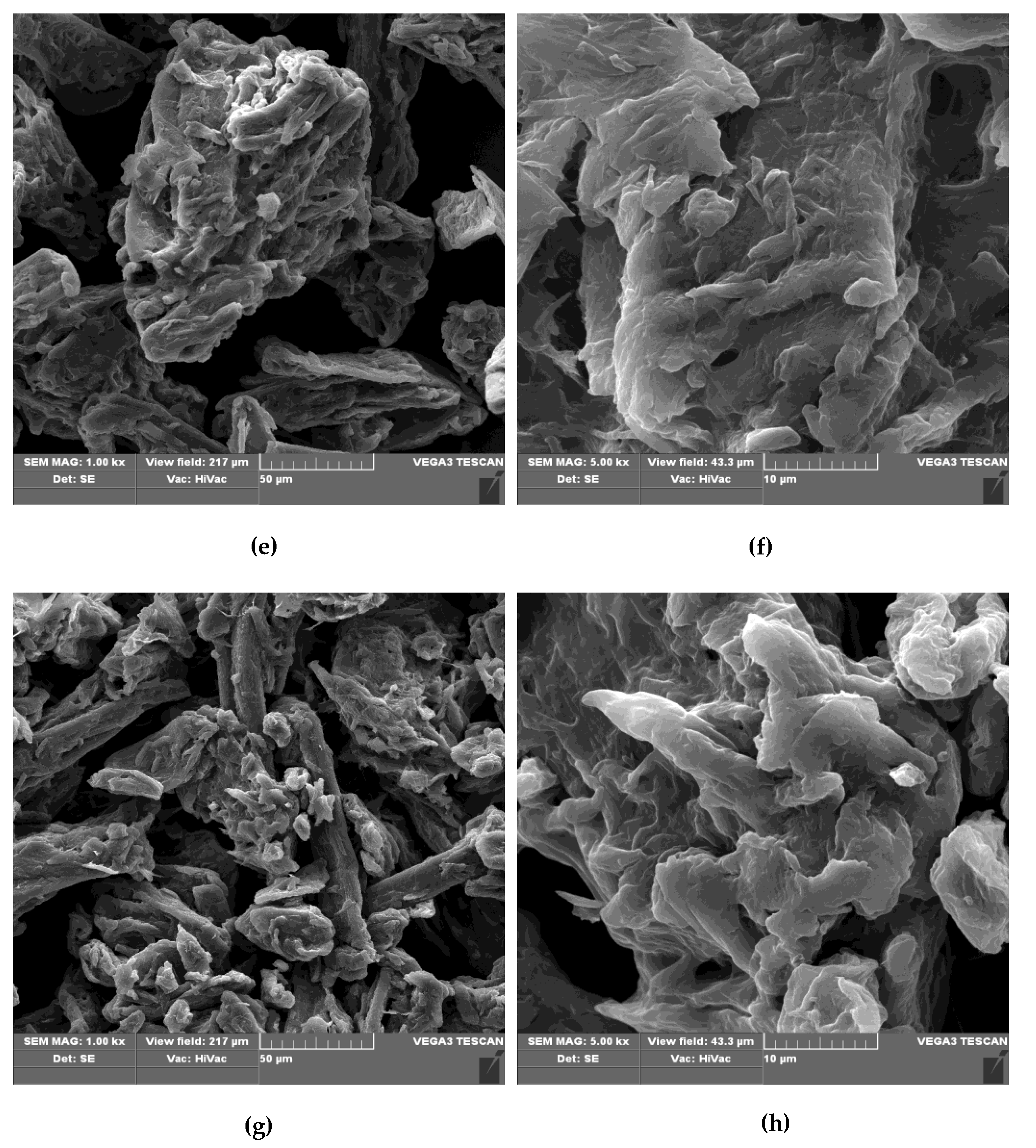 Antibiotics 10 00203 g009b Antibiotics 10 00203 g009b