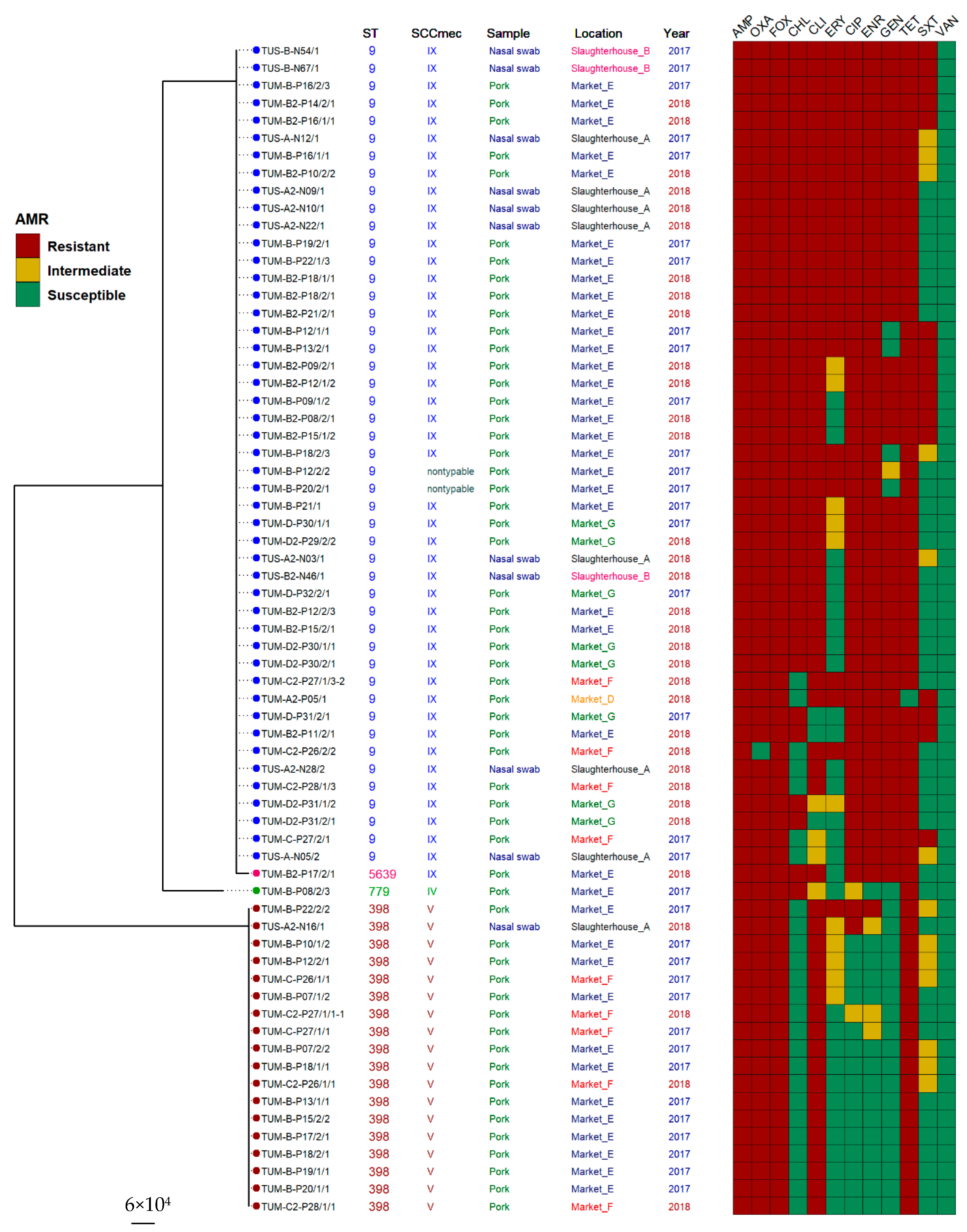 Antibiotics 10 00206 g001