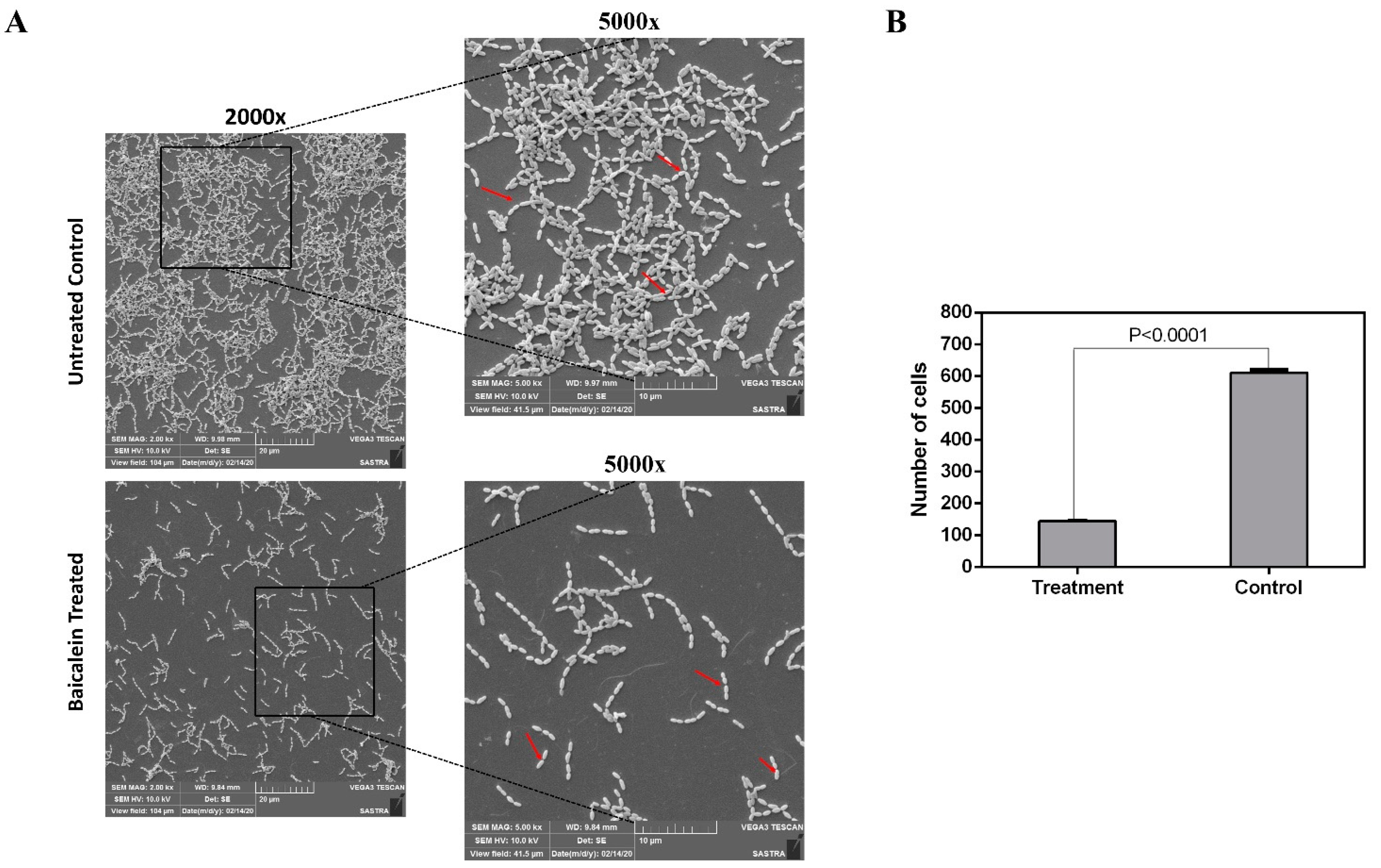 Antibiotics 10 00215 g005